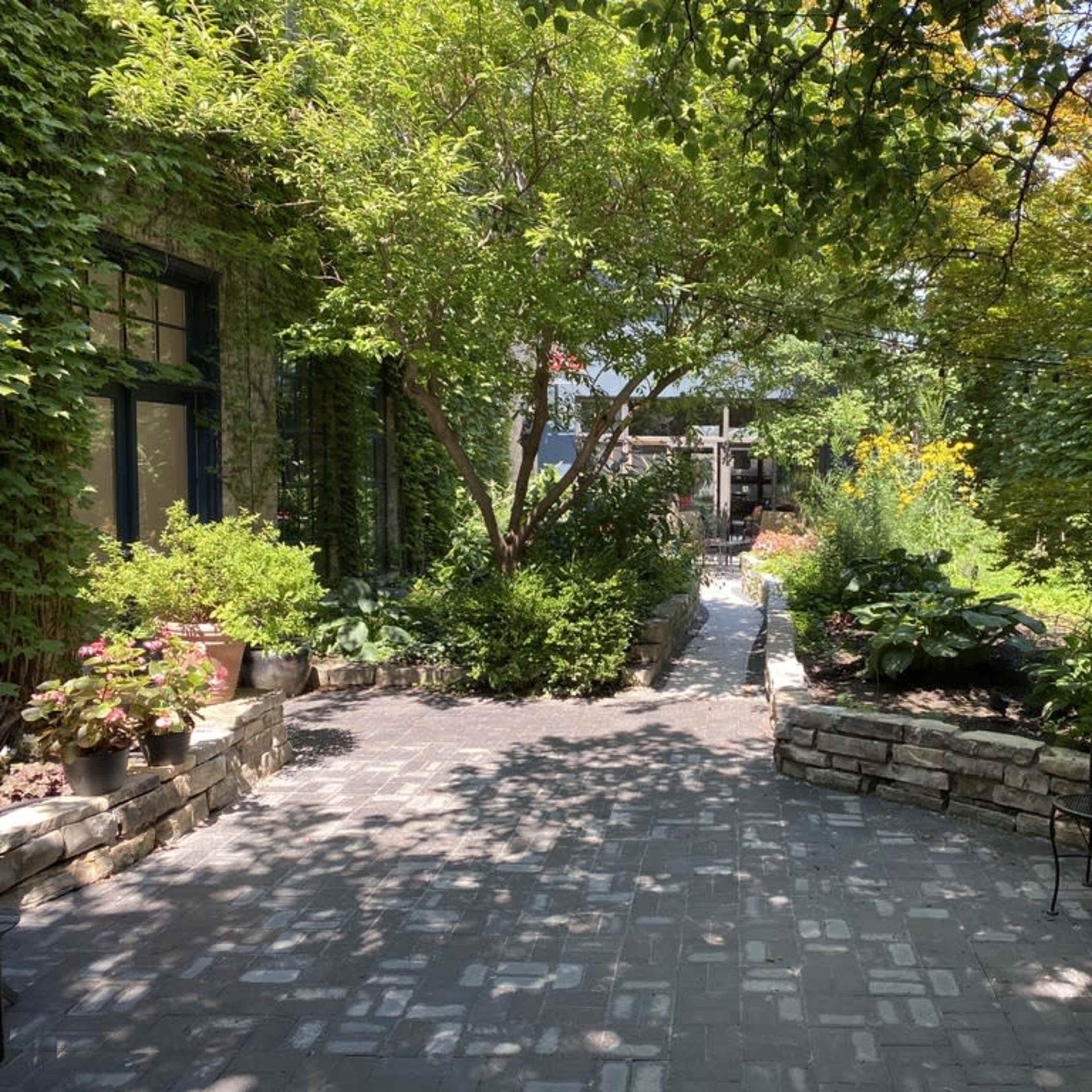A winding stone pathway leads through a lush garden filled with various plants and trees.