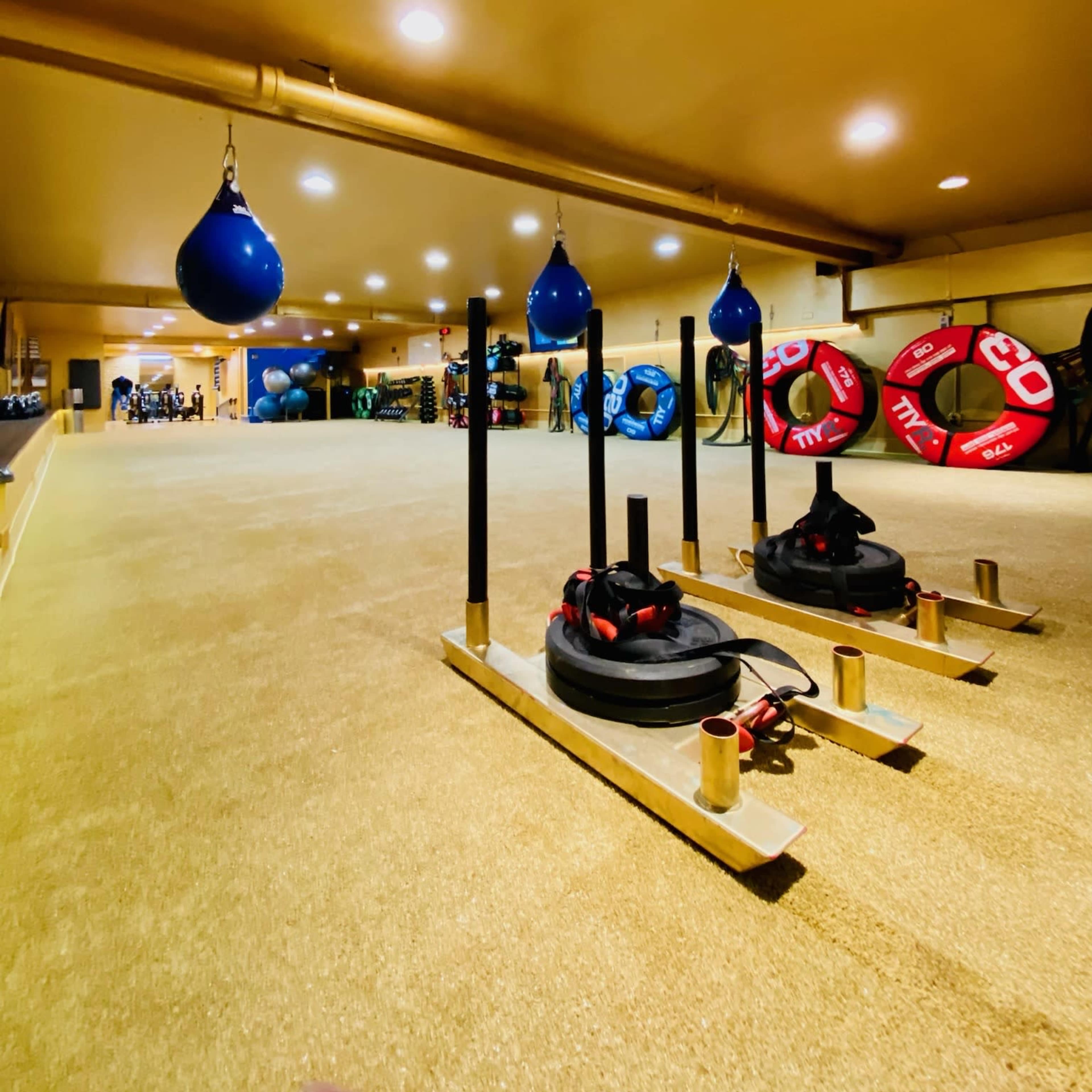 Premier Fitness/Dance/Boxing/ Massage Studio Image in Lake View, Chicago, IL
