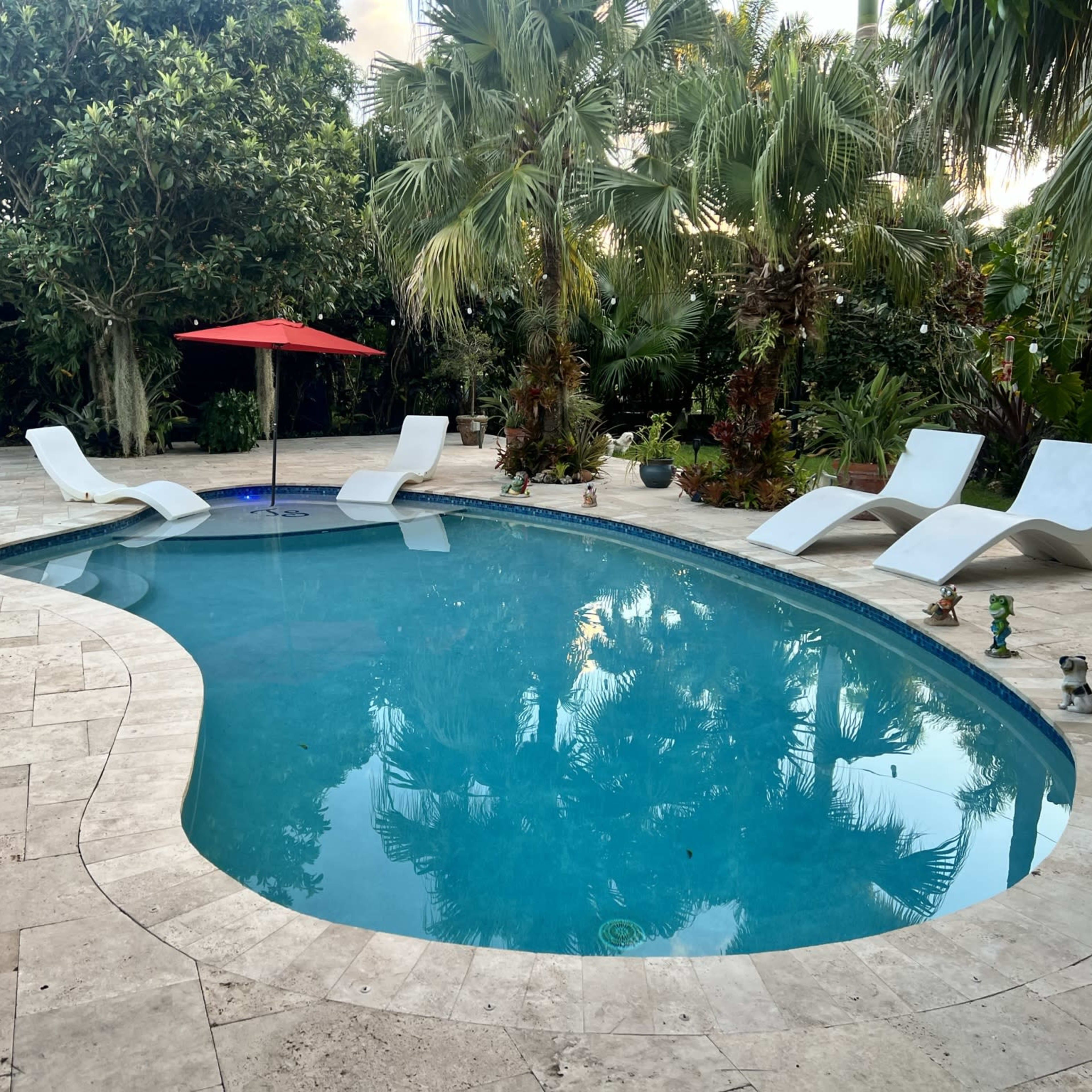 An outdoor swimming pool is surrounded by lounge chairs and palm trees in a tropical setting.