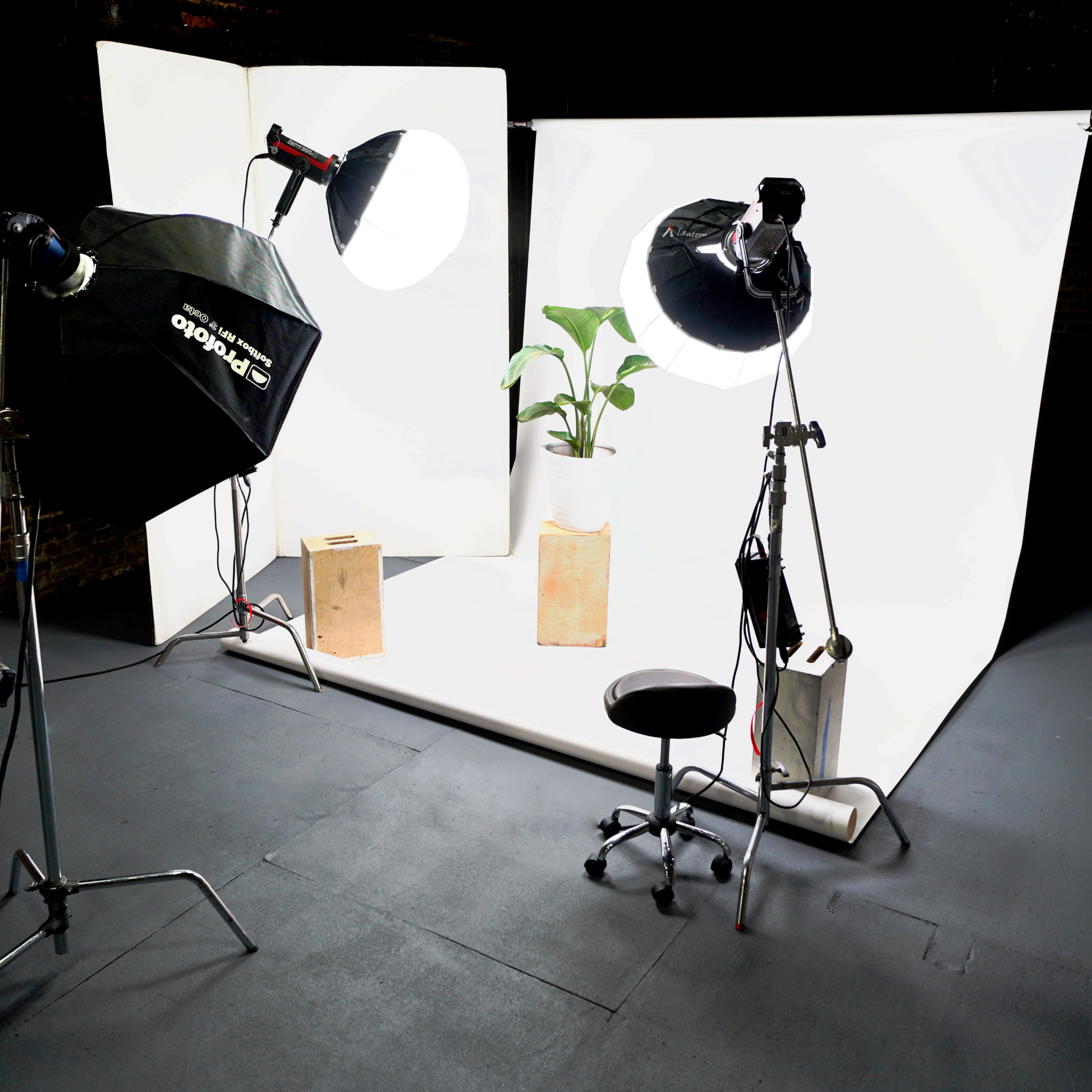 A photography studio setup features three softbox lights, a potted plant, a stool, and white backdrops arranged in a well-lit area.