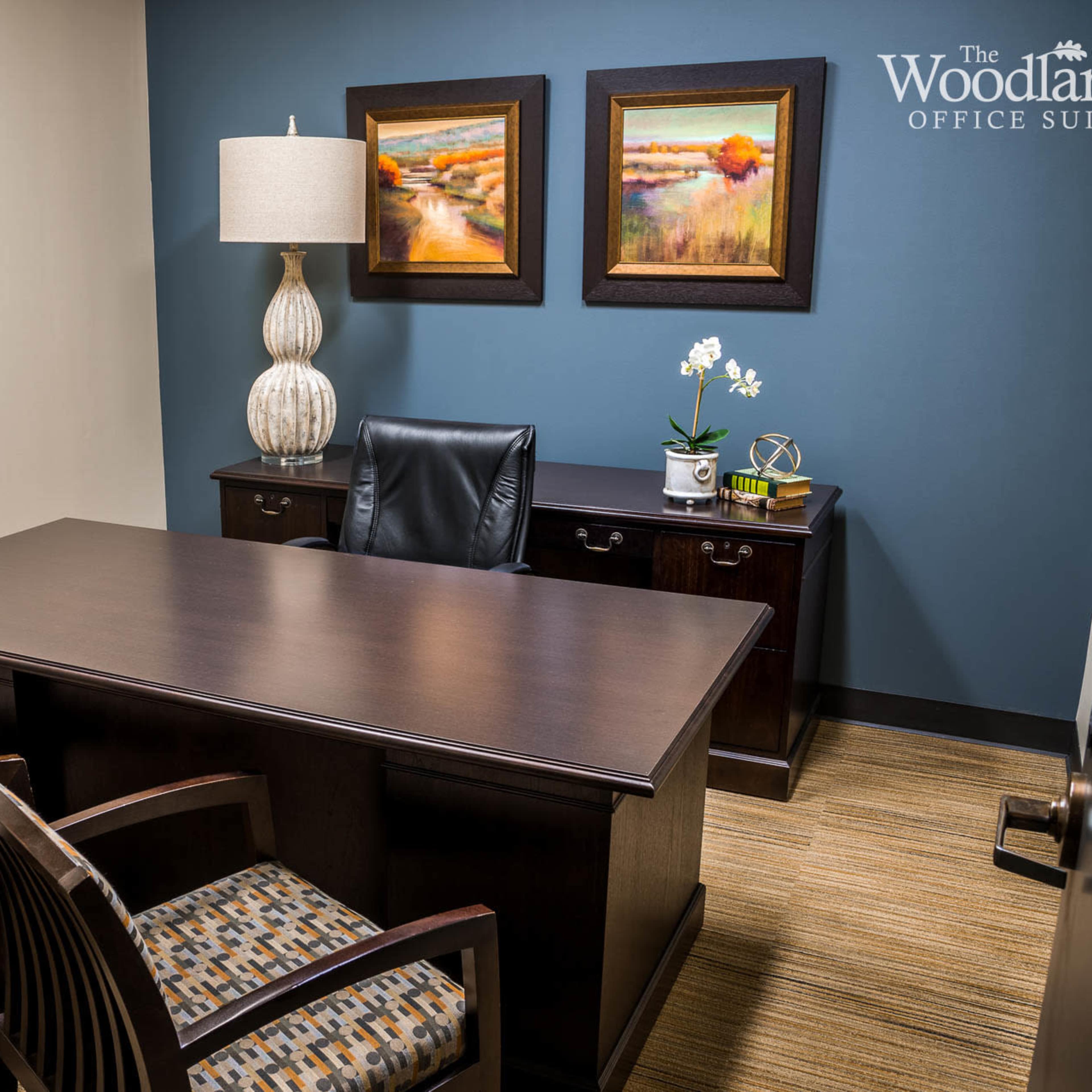 Spacious Meeting Room Image in Town Center, The Woodlands, TX