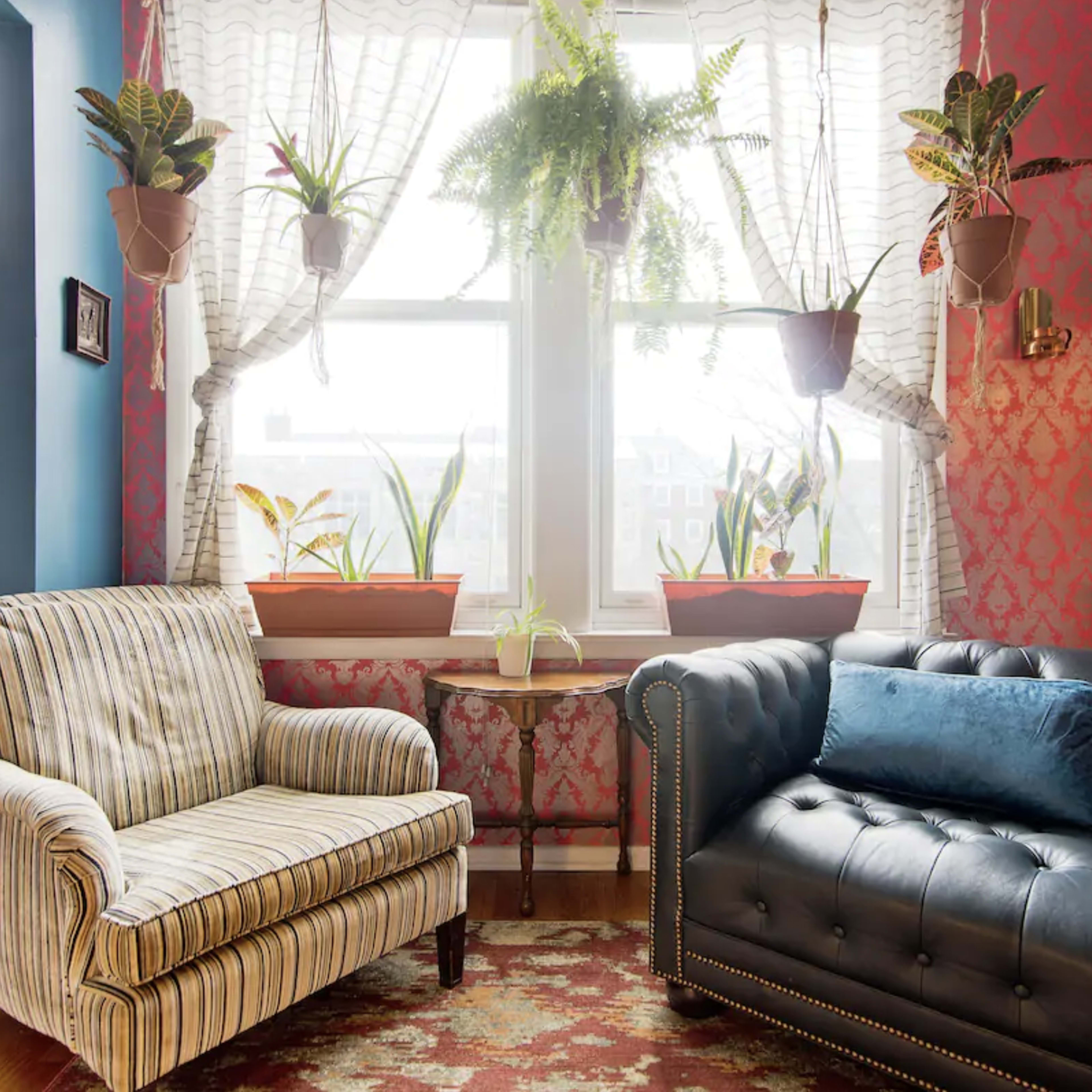 A cozy sitting area features a striped armchair and a black leather tufted sofa, with potted plants hanging by the window and bookshelves nearby.