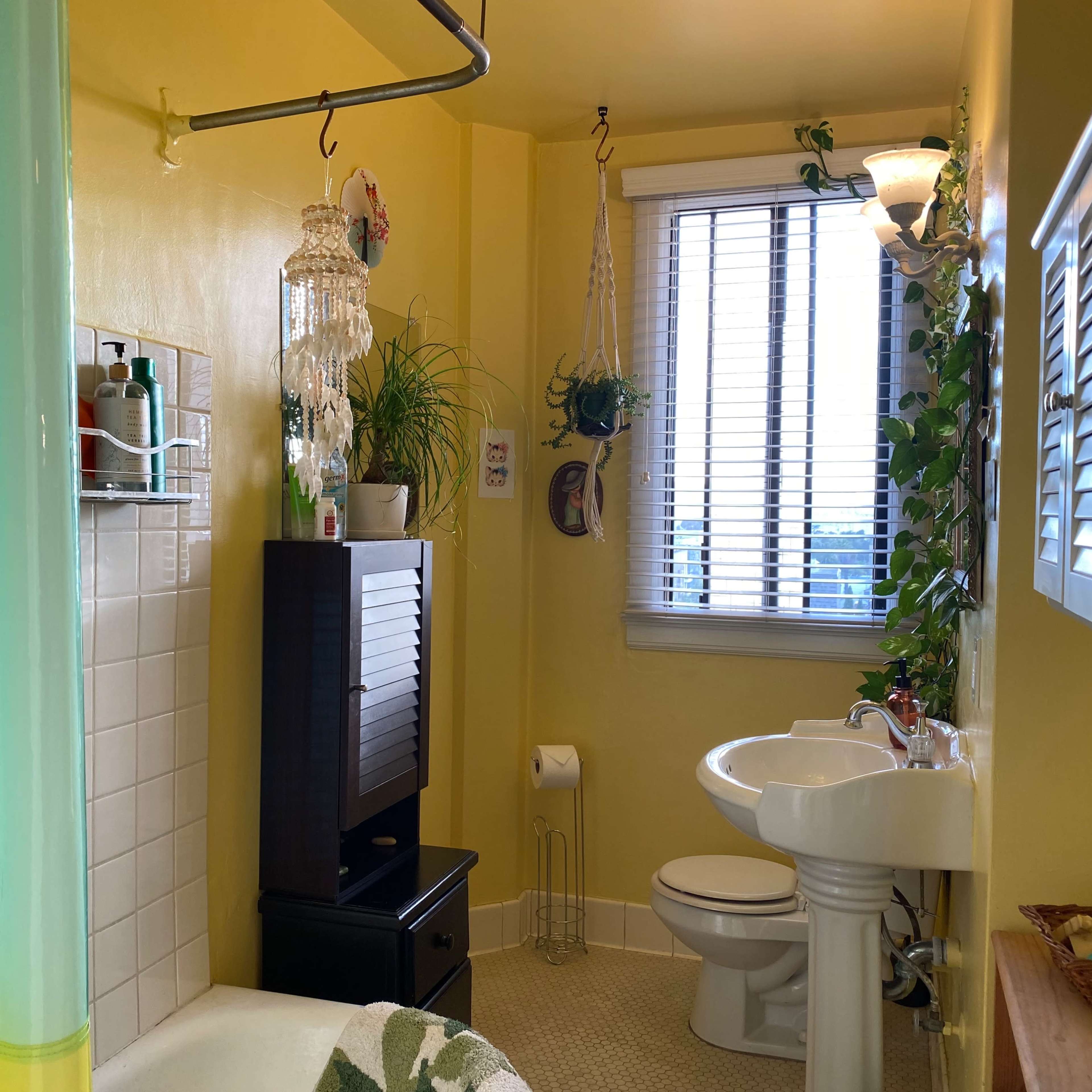 A brightly lit bathroom features a shower curtain, a sink, a small cabinet, and plants along the window.