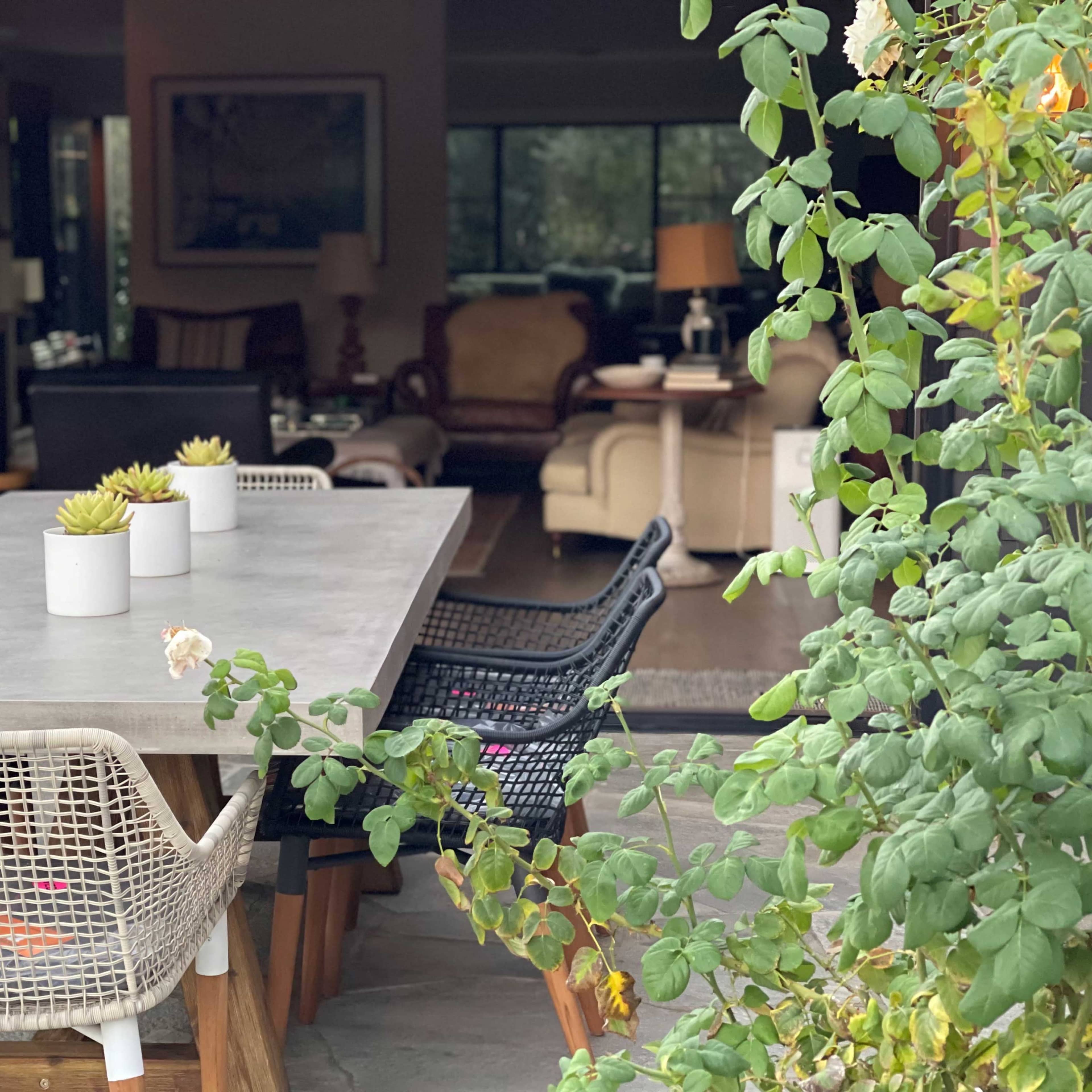 A long outdoor dining table with potted succulents sits surrounded by chairs, next to a view of an indoor living space.