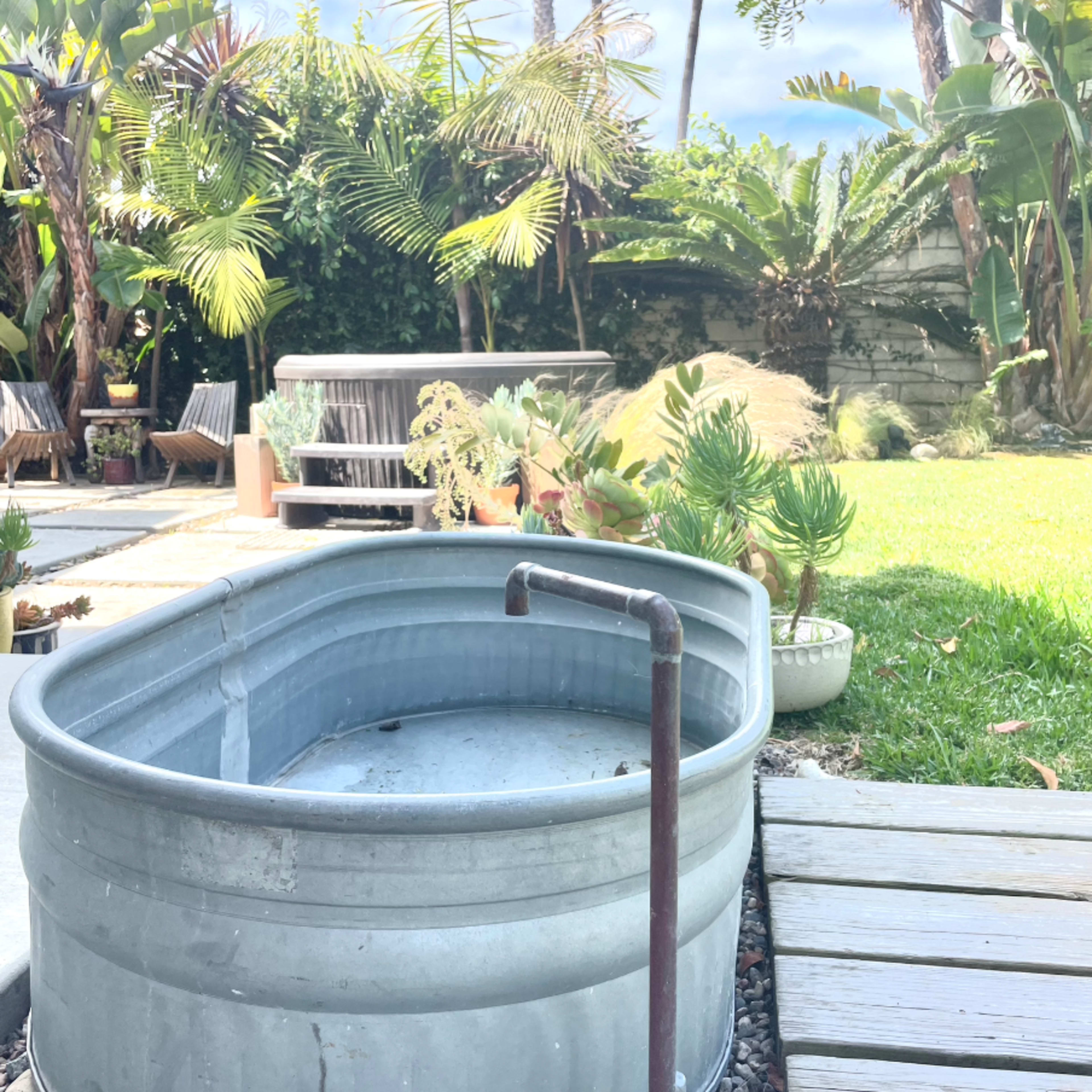 A galvanized metal tub with a spigot is positioned on a wooden deck in a garden surrounded by tropical plants.