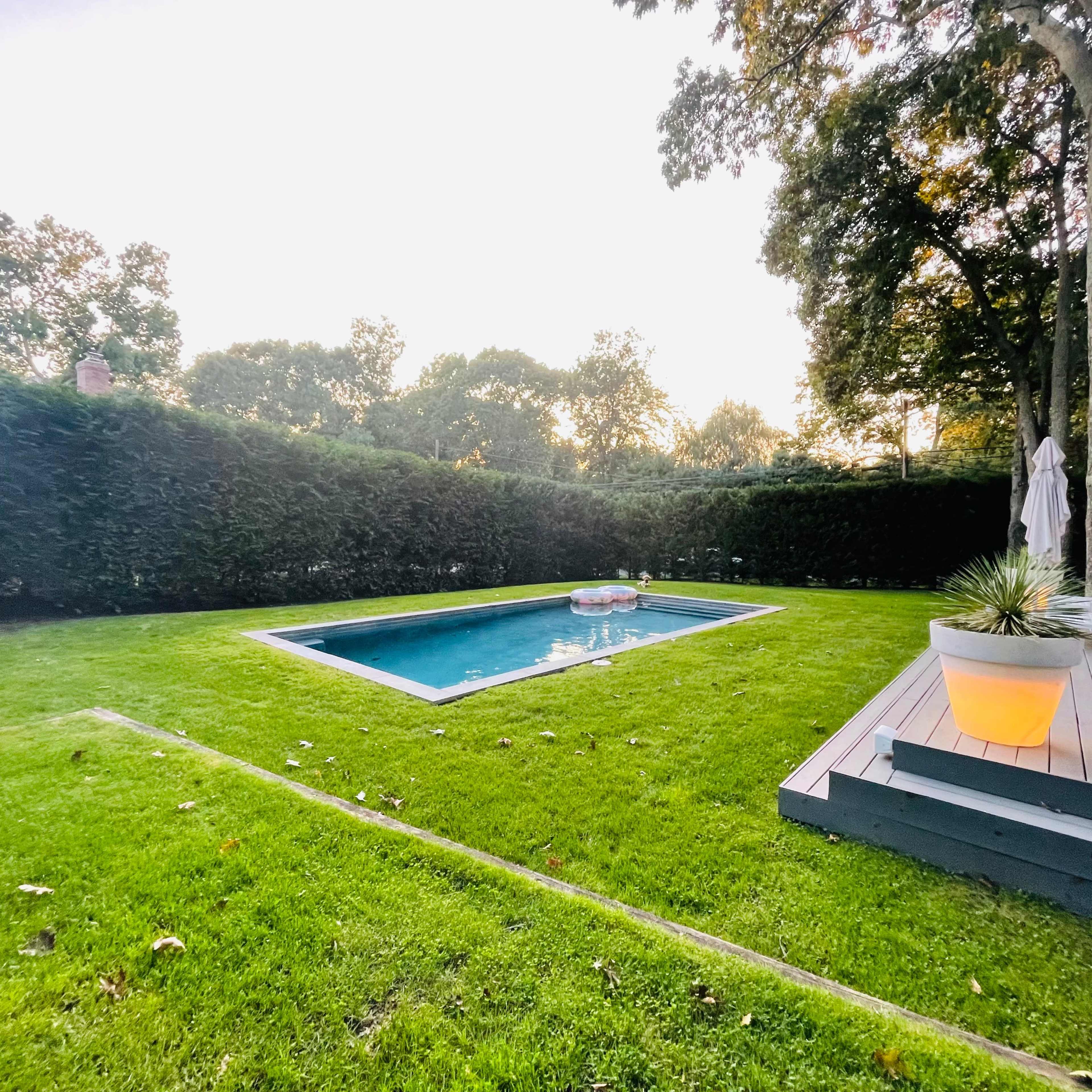 A rectangular swimming pool is nestled in a green lawn surrounded by tall hedges and a wooden deck with a lounge chair.