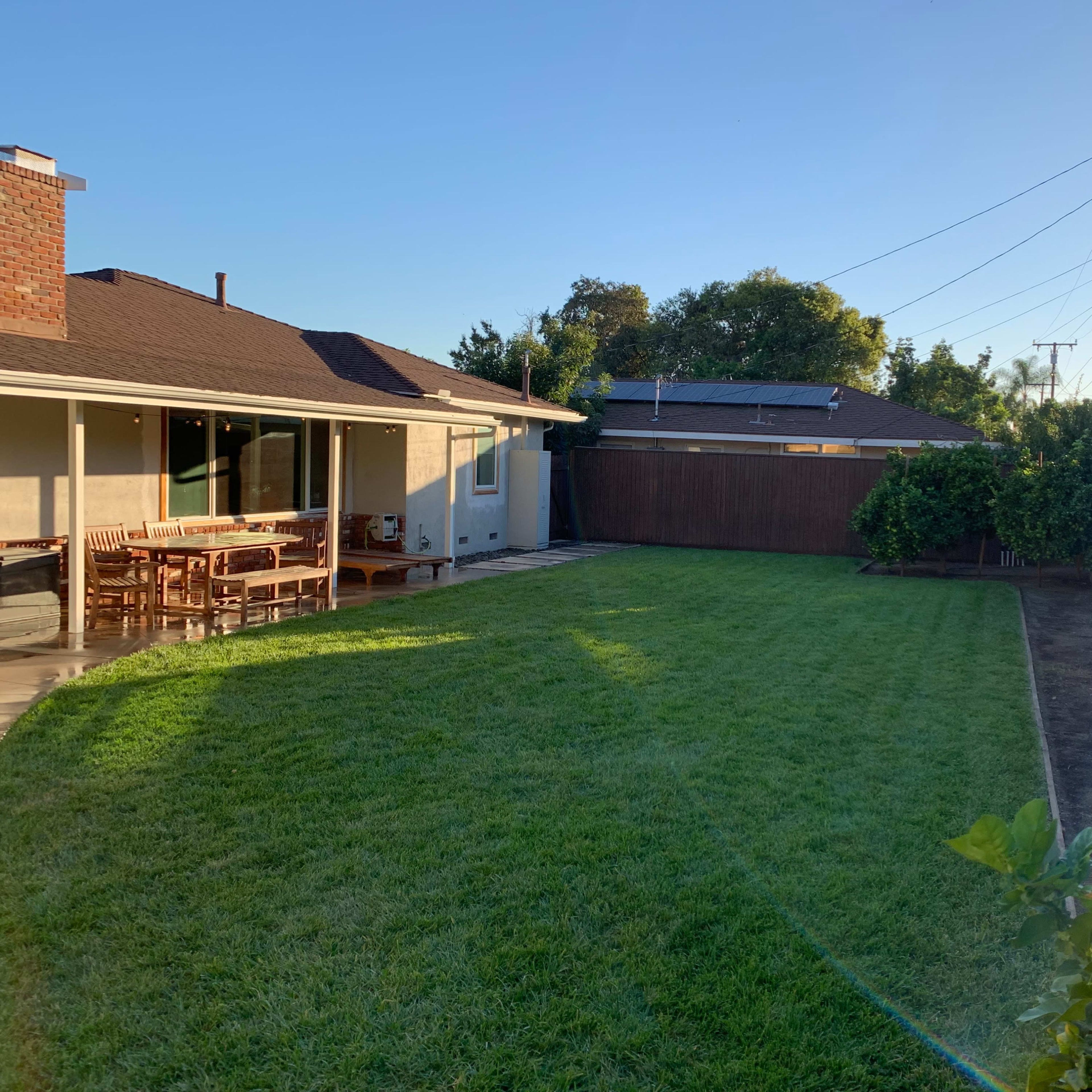 A spacious green lawn in a backyard surrounded by a wooden fence and trees.