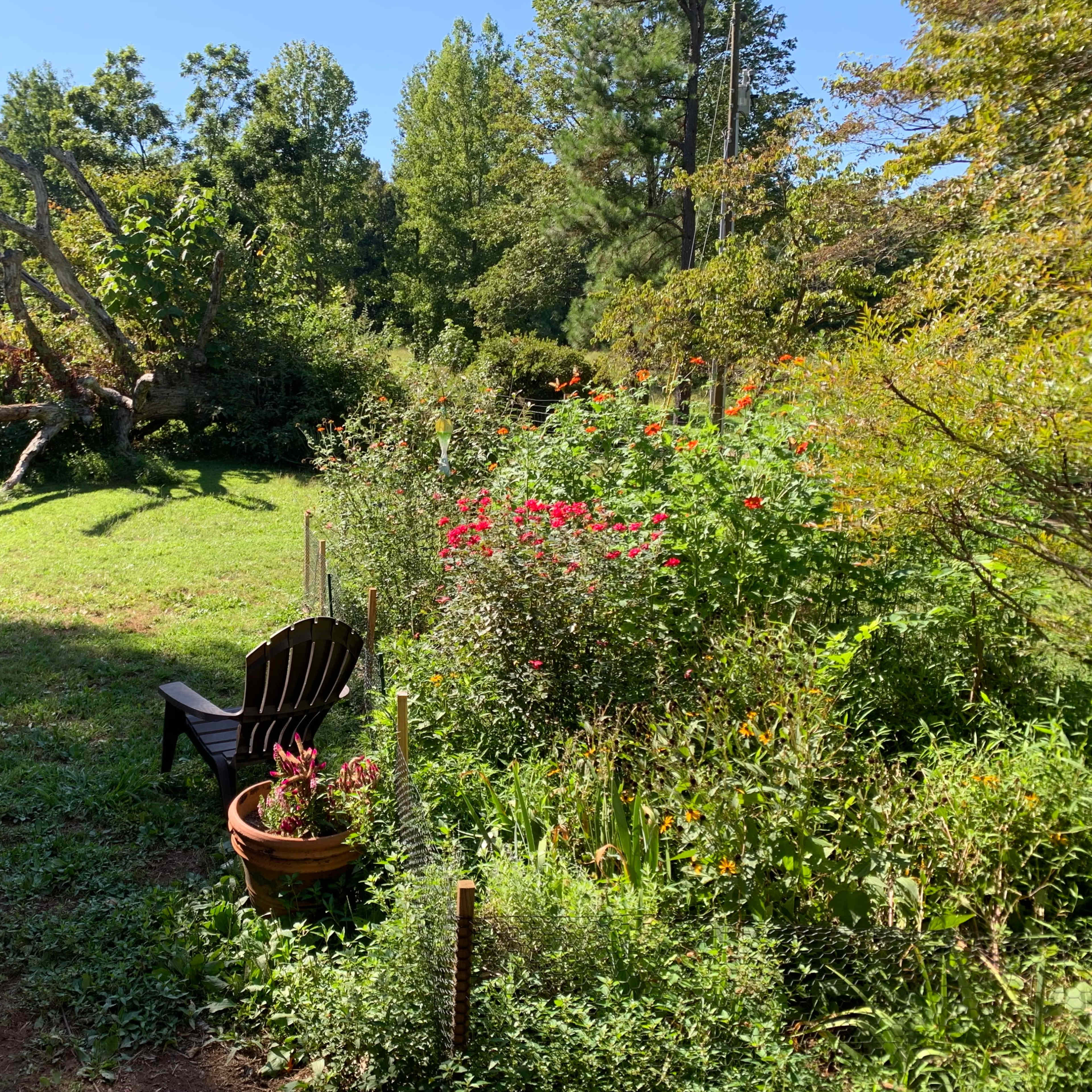 A garden with two wooden chairs facing a green lawn surrounded by colorful flowers and a fallen tree.
