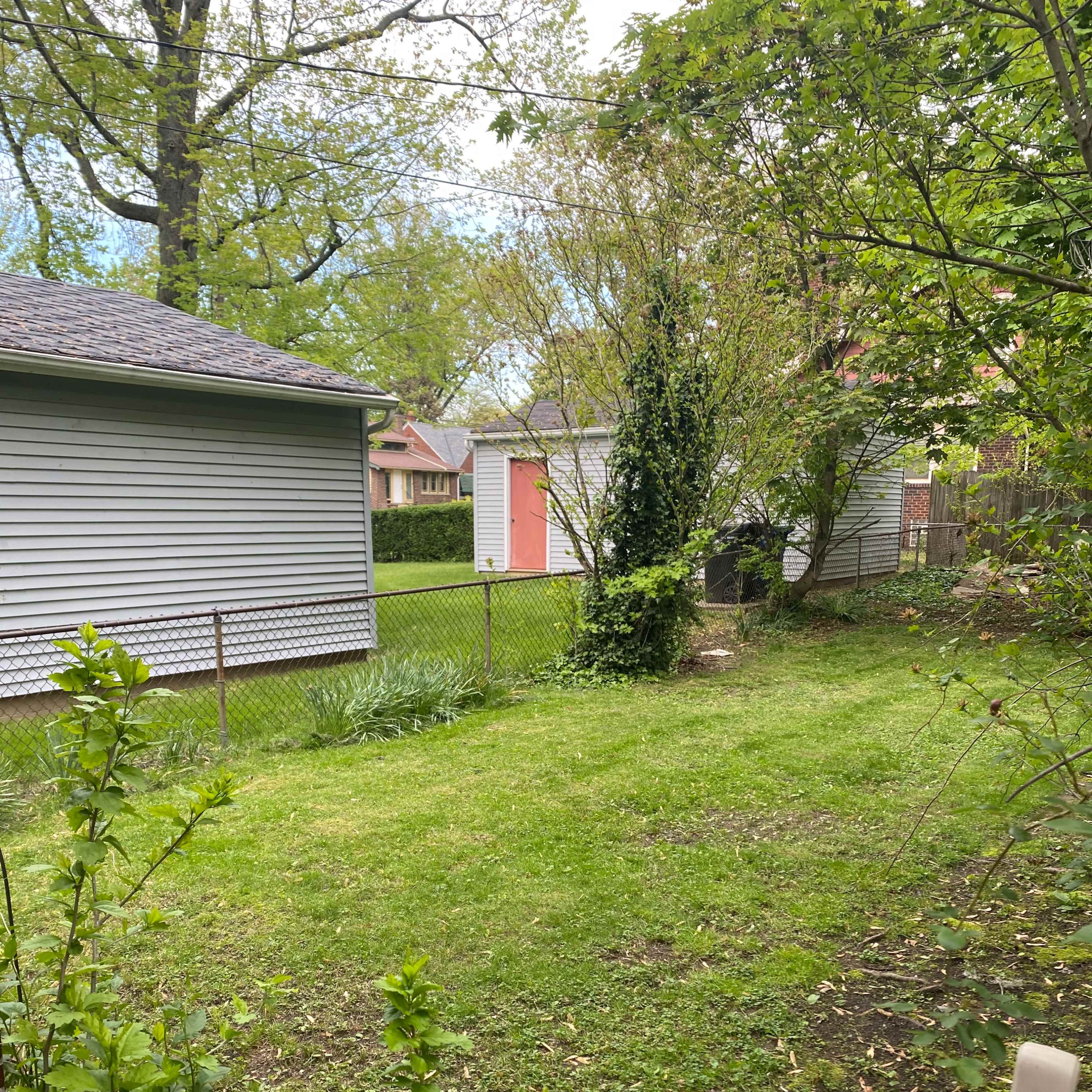 A grassy backyard is bordered by two houses and a chain-link fence, with trees and shrubs surrounding the area.