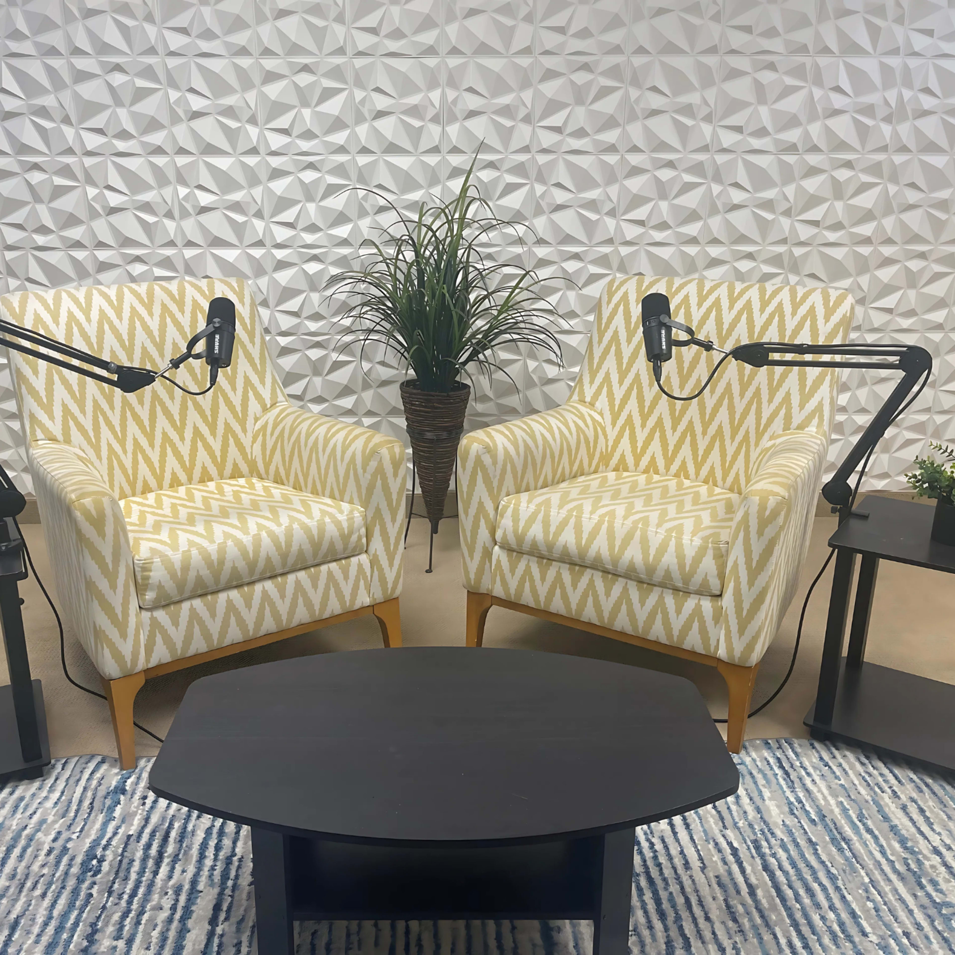 Unique Podcast Studio Image in Paradise Valley Village, Phoenix, AZ