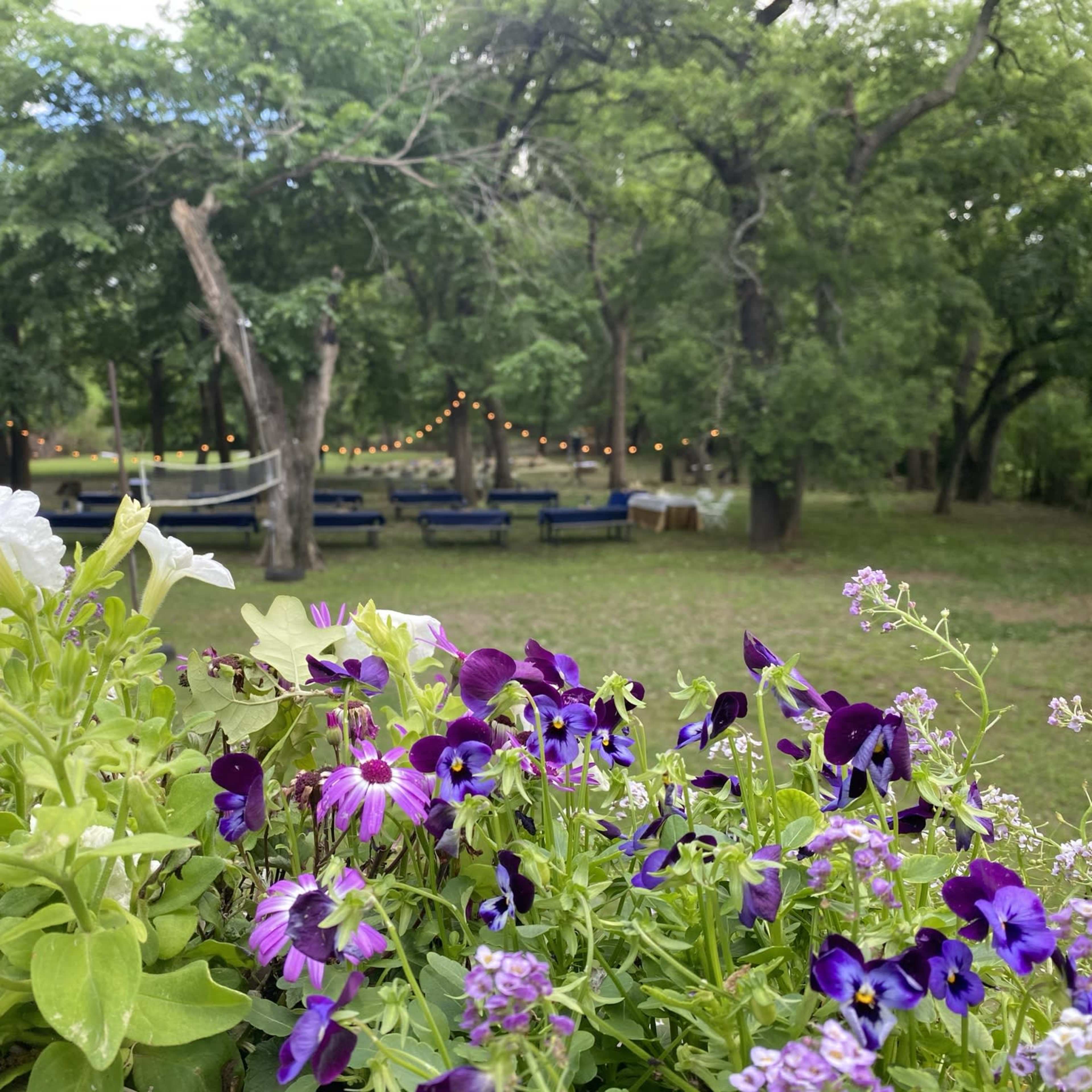 A vibrant flower bed filled with white and purple blooms is in the foreground, while a shaded area with string lights and seating is visible in the background.