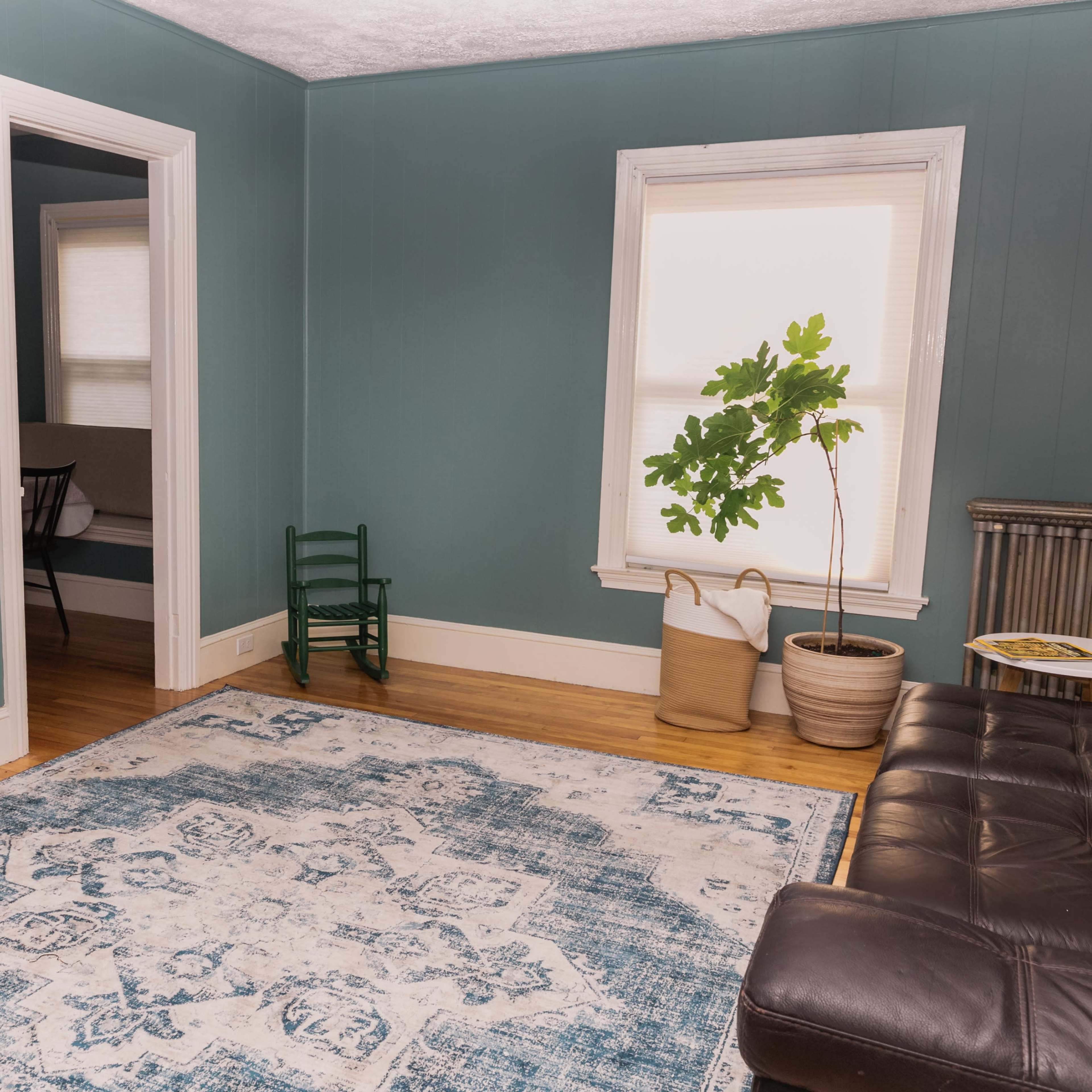 The room features a dark leather sofa, a large area rug, a television on a white stand, and a potted plant near a window.