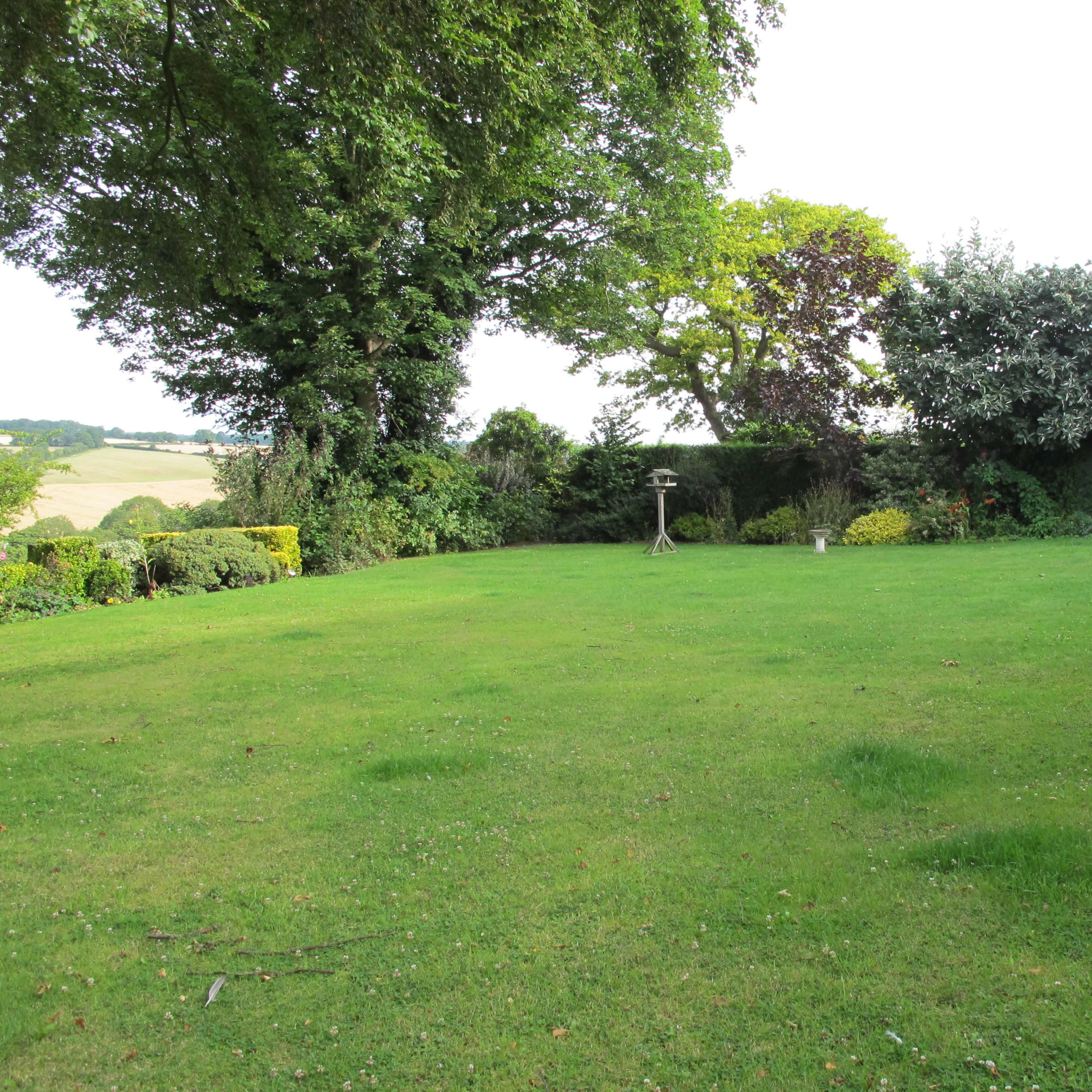 A spacious green lawn surrounded by trees and shrubs, with a bird feeder and a gentle slope in the background.