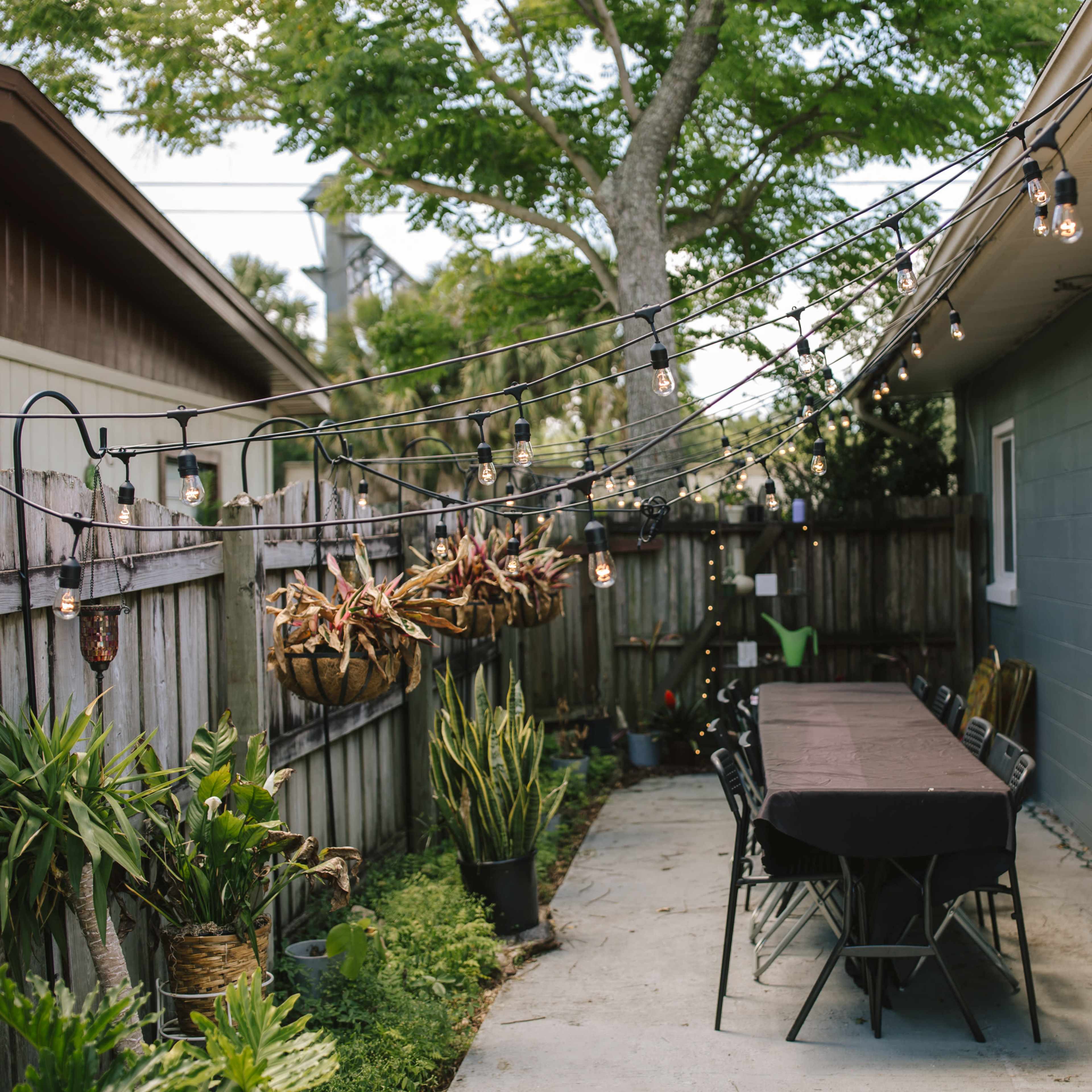 A patio area is set up with a long table and chairs, illuminated by overhead string lights, surrounded by various plants and a wooden fence.