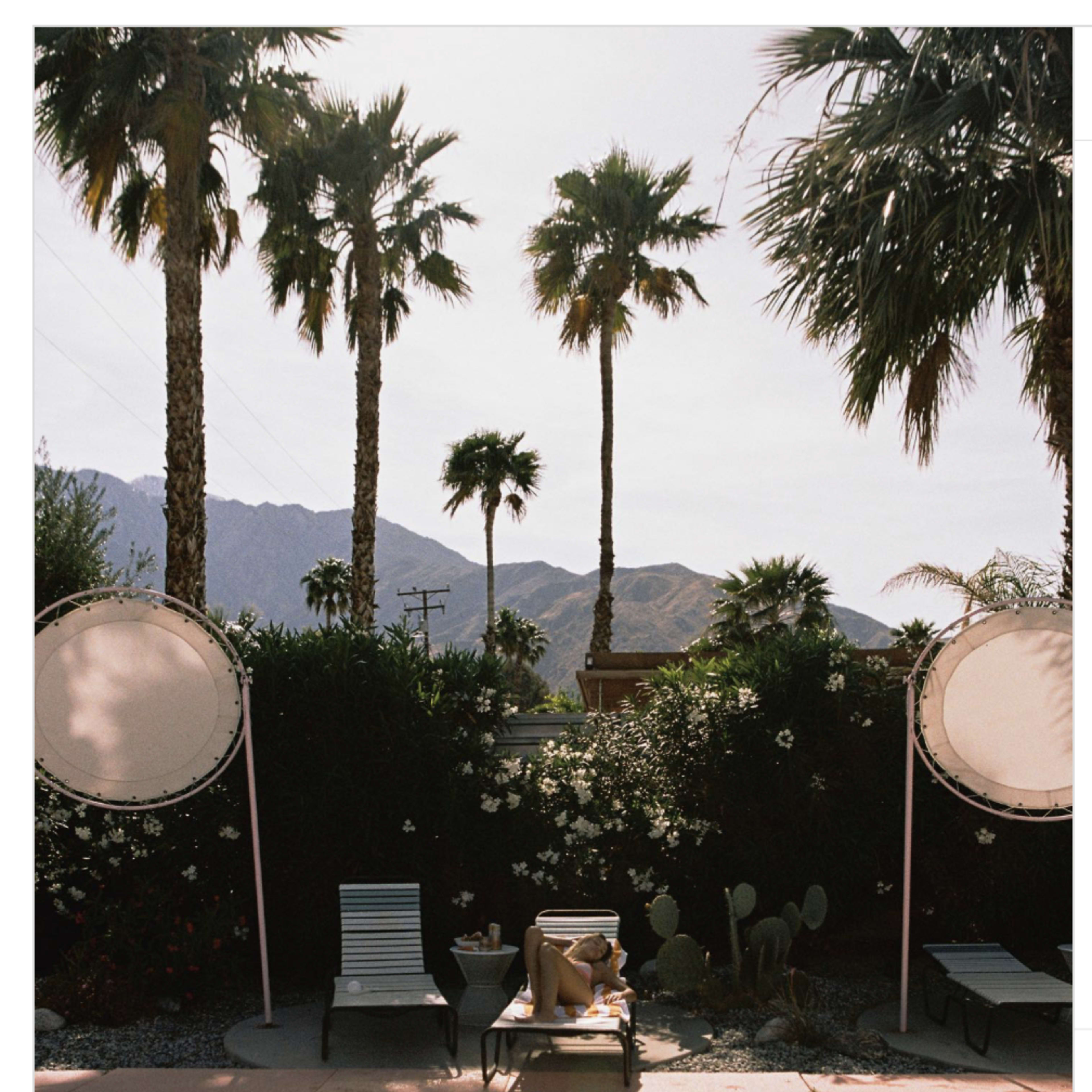 A person relaxes on a lounge chair beside a pool, surrounded by palm trees and mountains in the background.