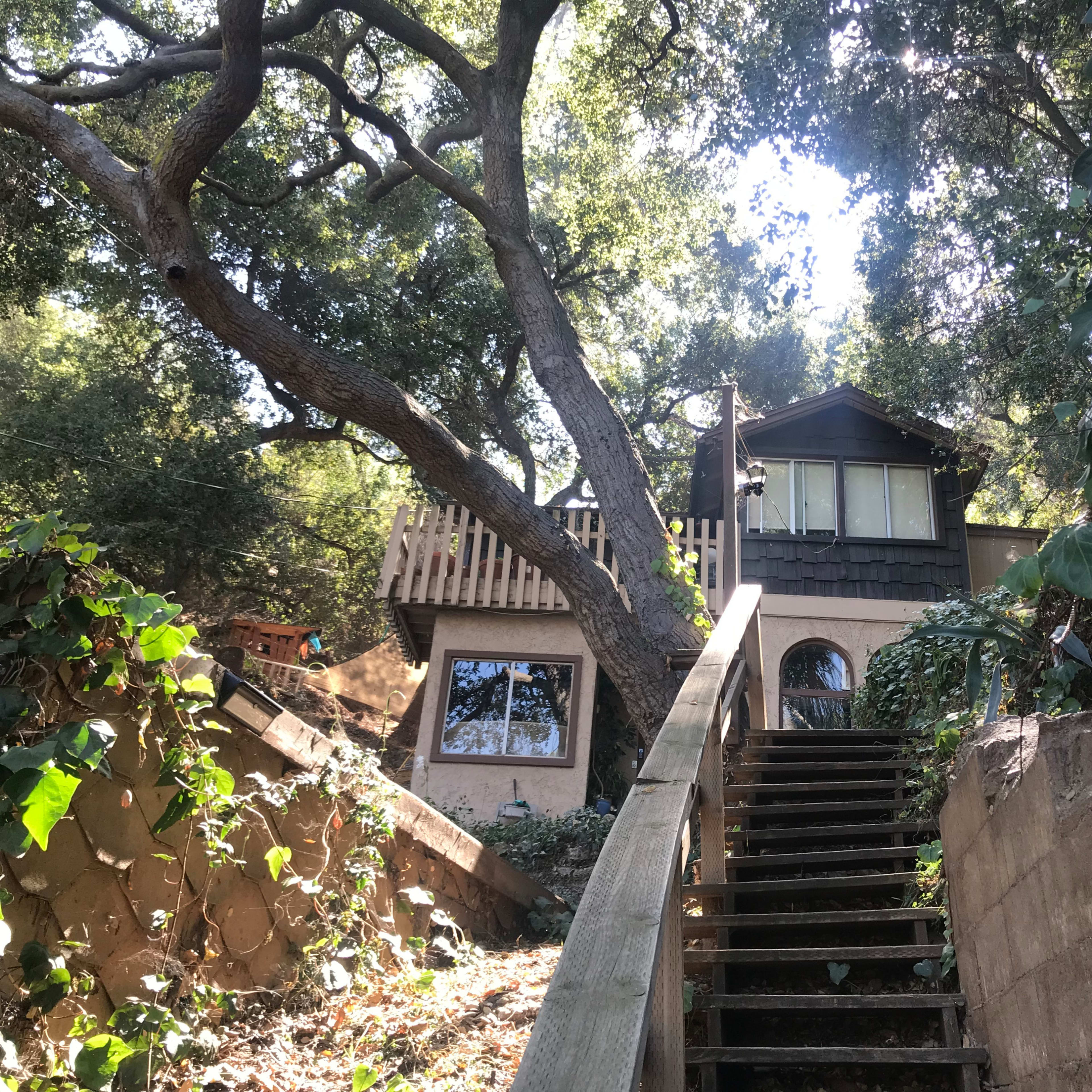A wooden staircase leads up to a house nestled among trees, with large windows and a deck above the entrance.