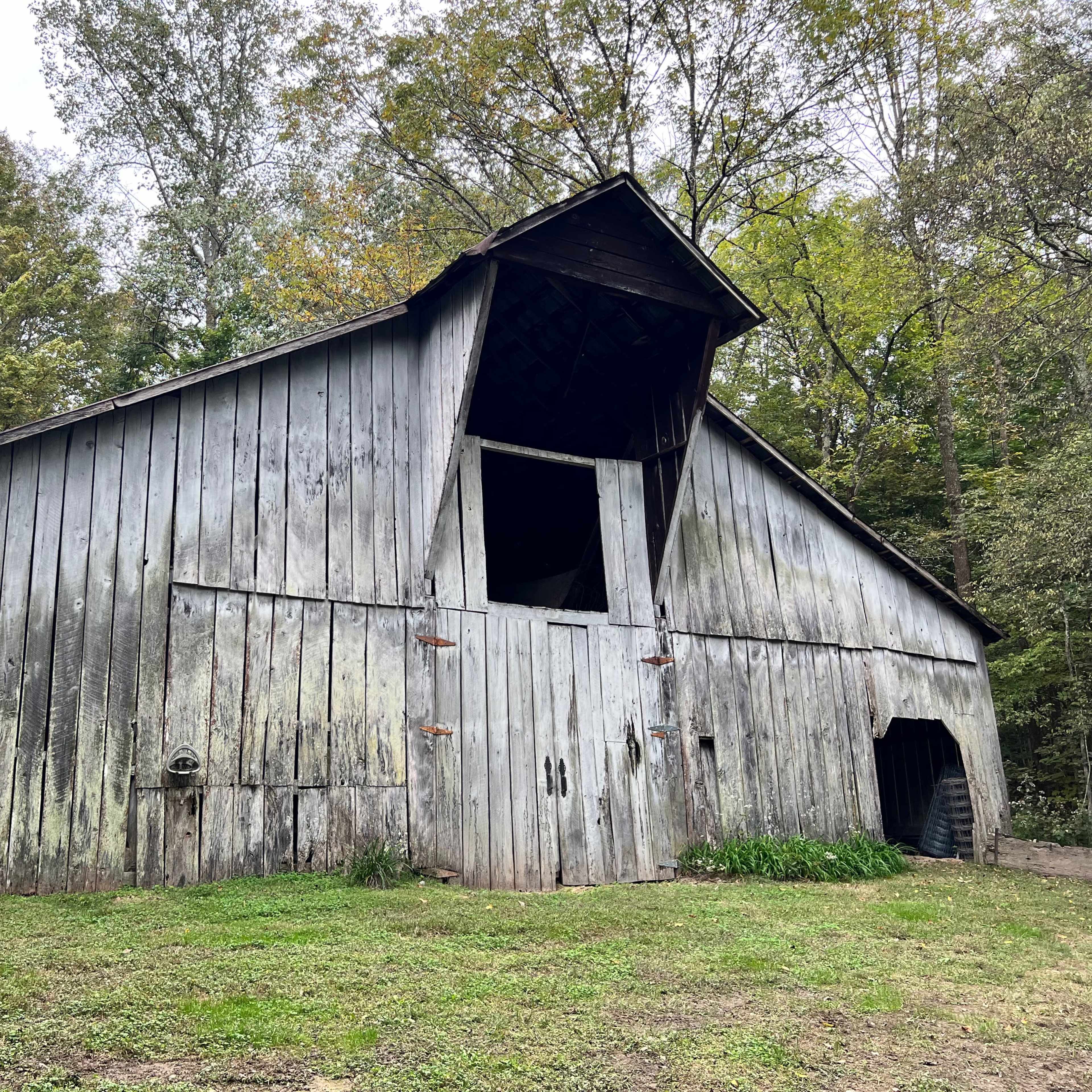 A weathered wooden barn stands at an angle in a wooded area, with green grass and trees surrounding it.