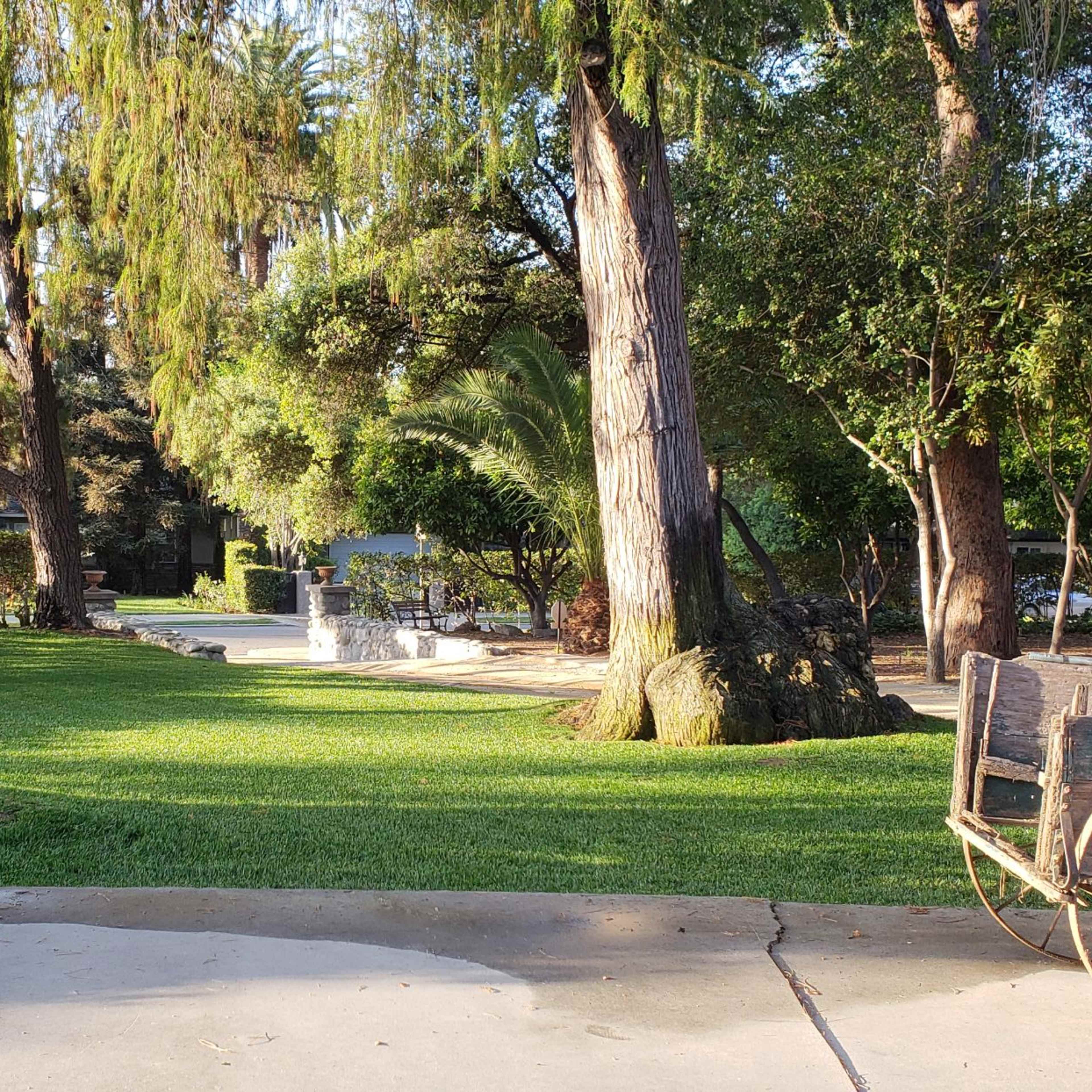 A grassy park area with trees, benches, and a pathway leading through the greenery.