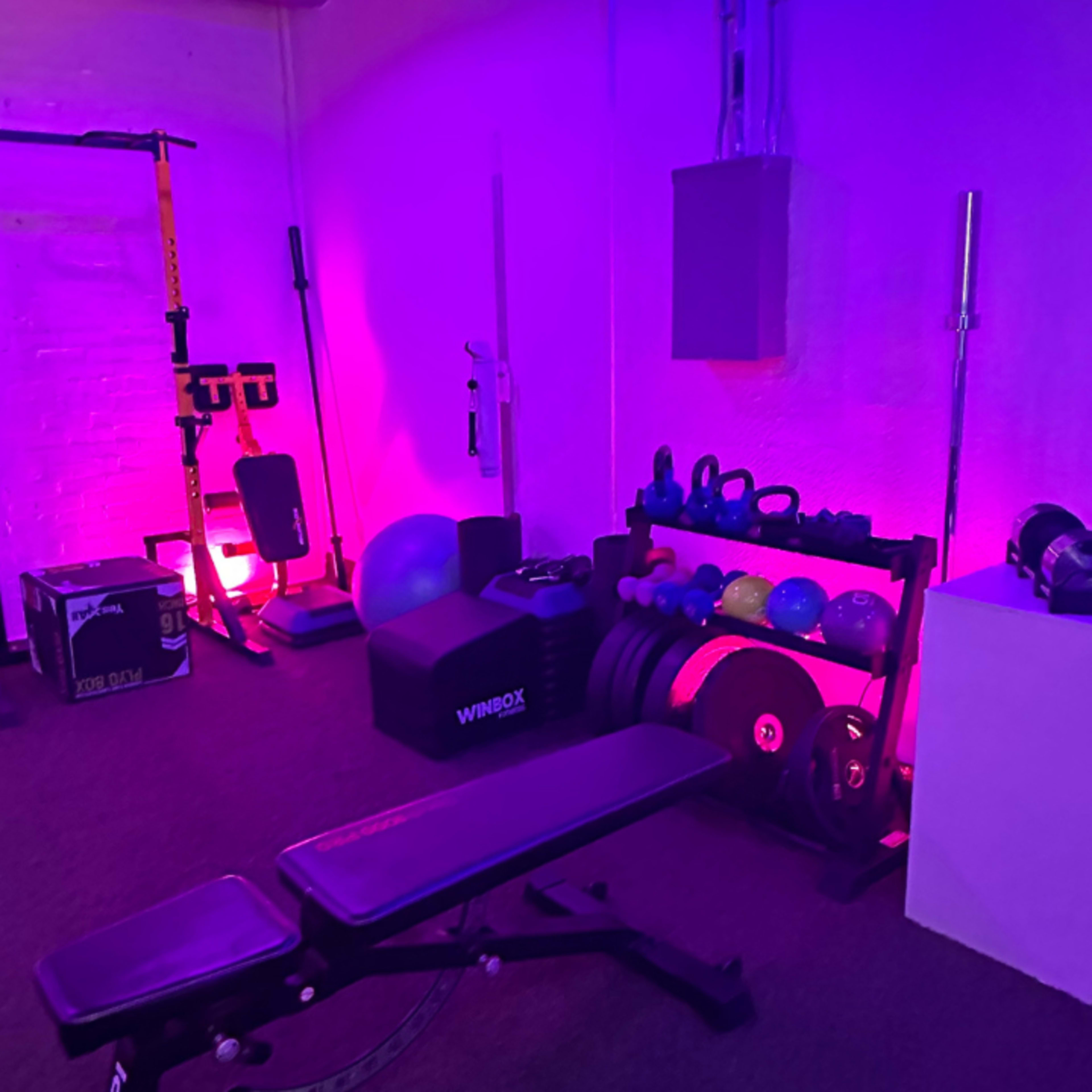A dimly lit home gym with various weightlifting equipment, including dumbbells and a bench, surrounded by purple lights.