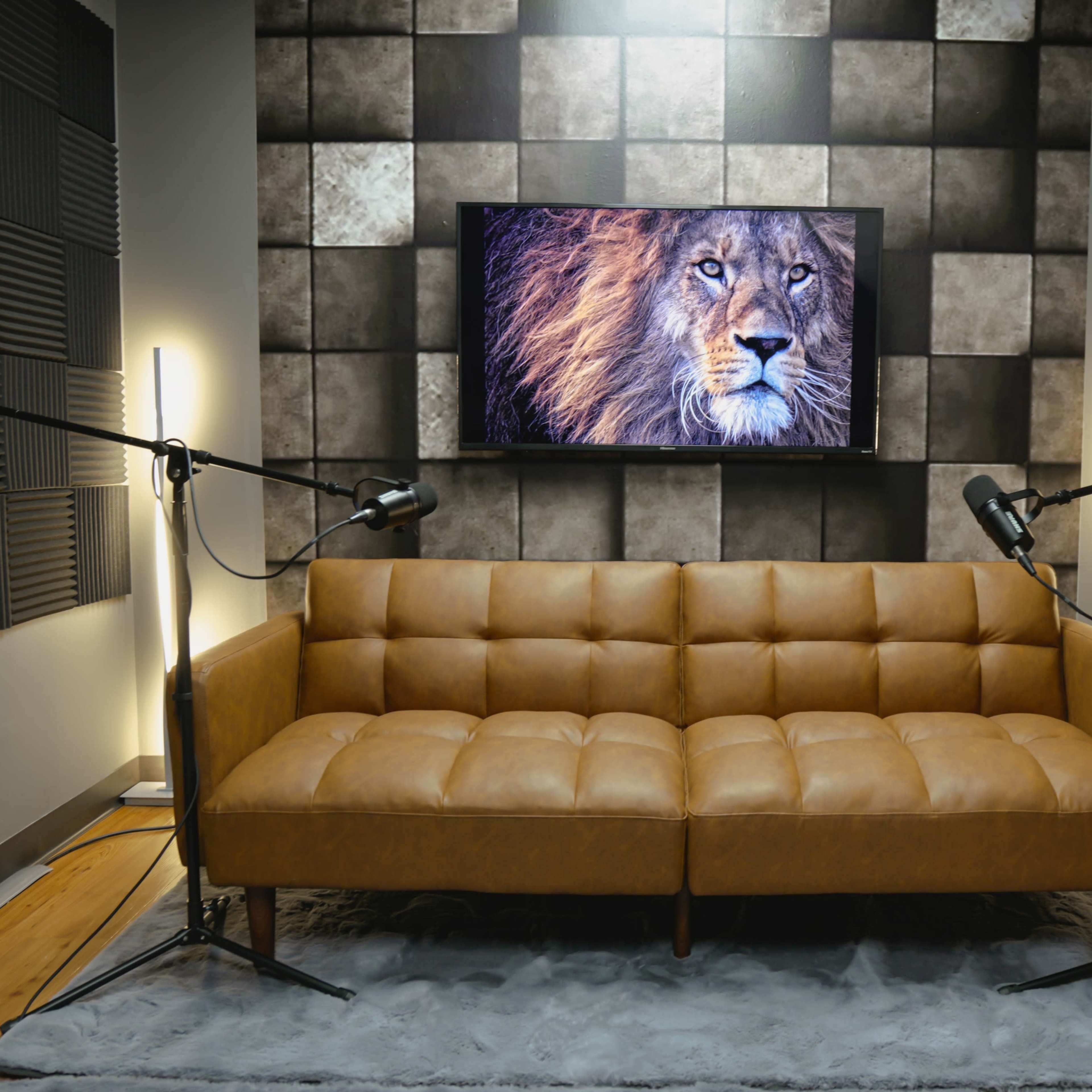 A modern recording studio with a brown leather couch, two microphones, and a large TV displaying a lion, surrounded by soundproofing panels.