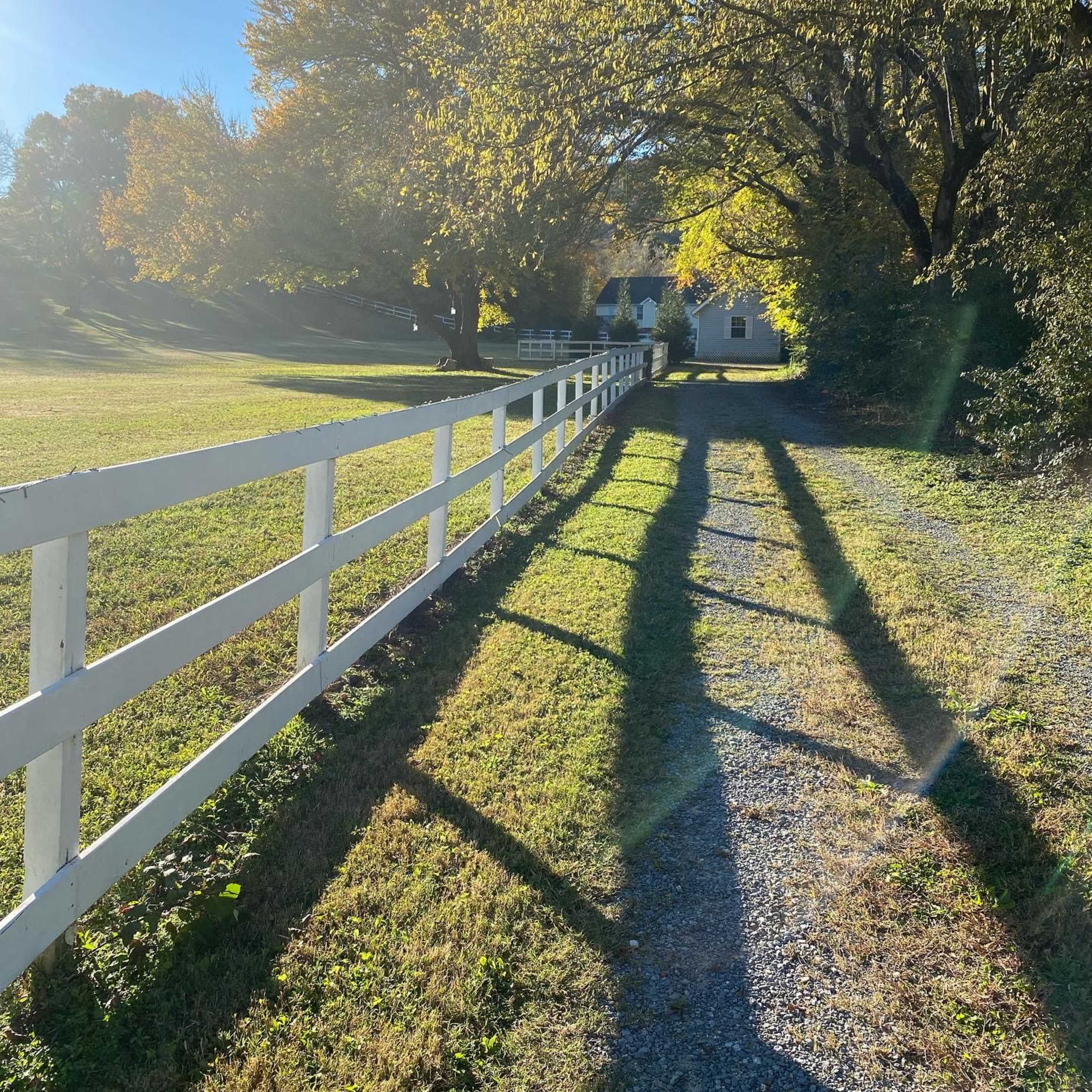 A gravel driveway lined by a white fence leads toward a house shaded by trees with yellow leaves.