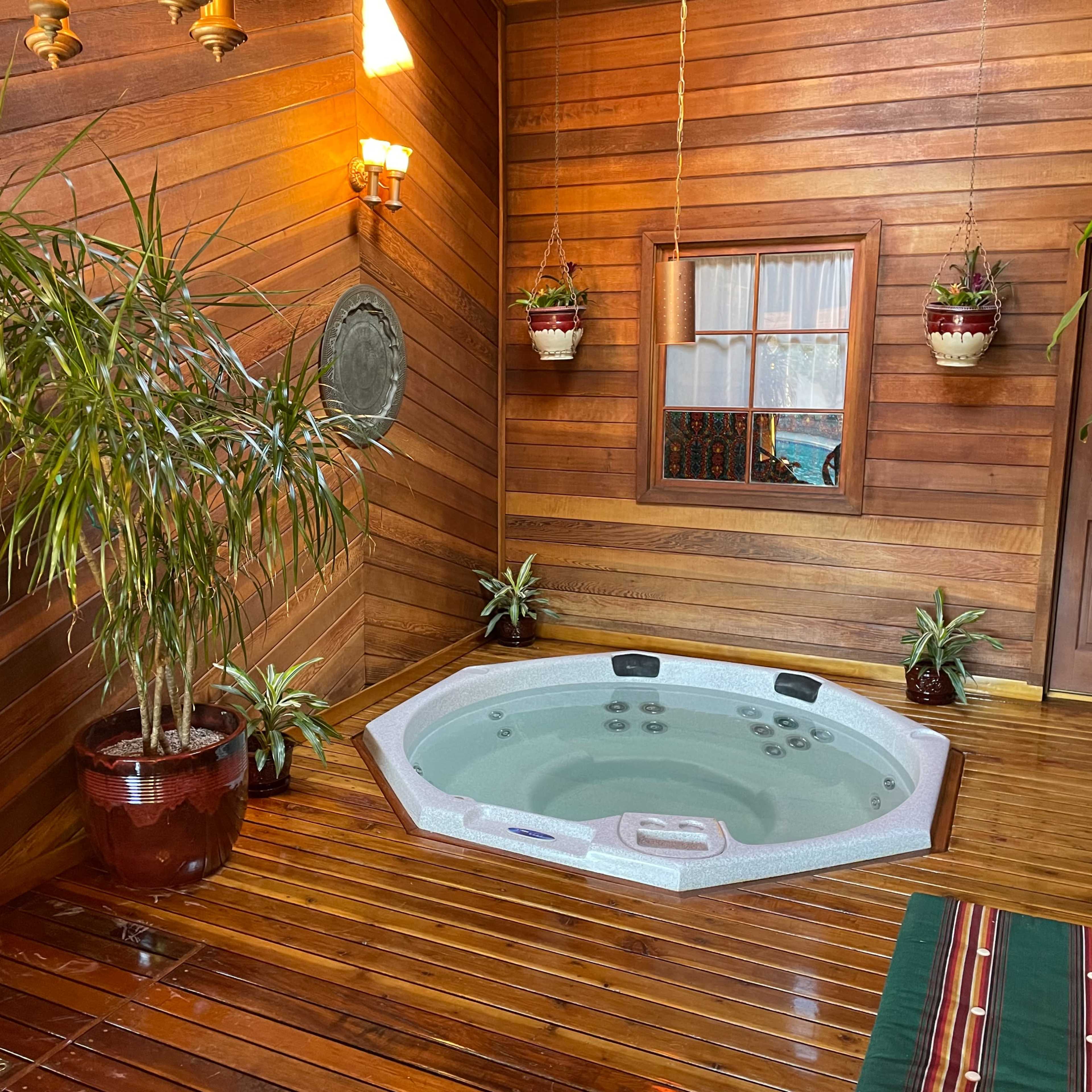 A wooden room with a circular hot tub surrounded by potted plants and a decorative door.