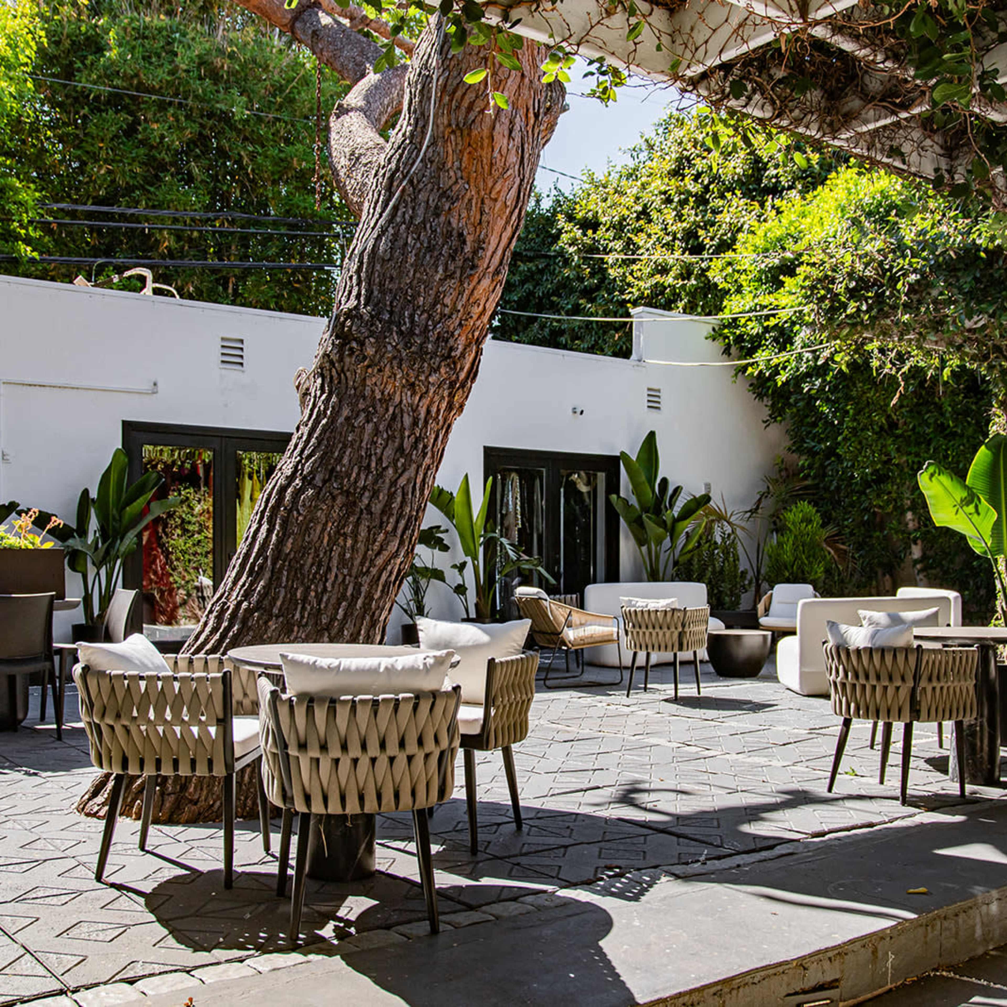 A modern outdoor seating area features wicker chairs and tables set around a large tree in a shaded courtyard.