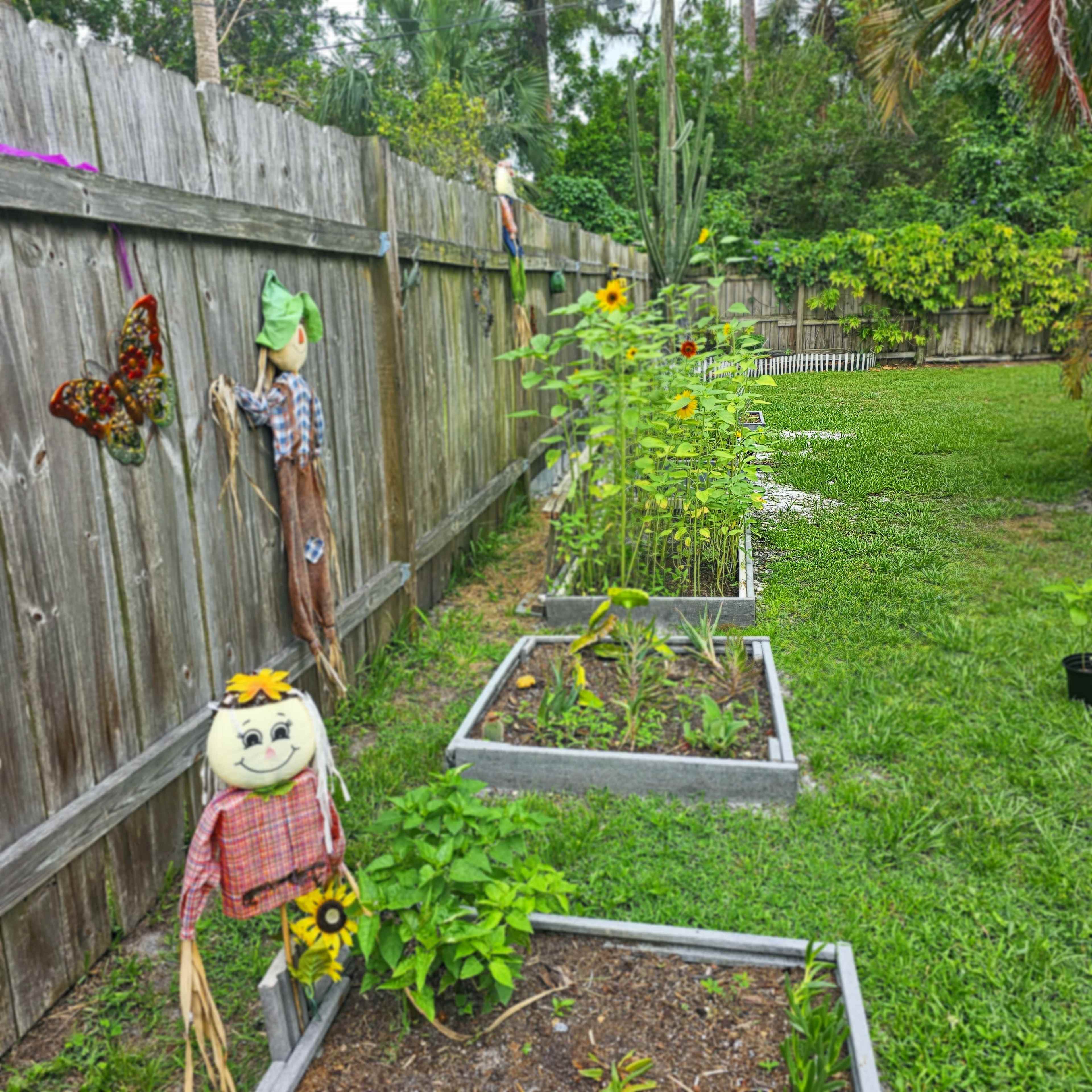 A garden with raised beds containing plants and sunflowers, bordered by a wooden fence adorned with a scarecrow and decorative items.