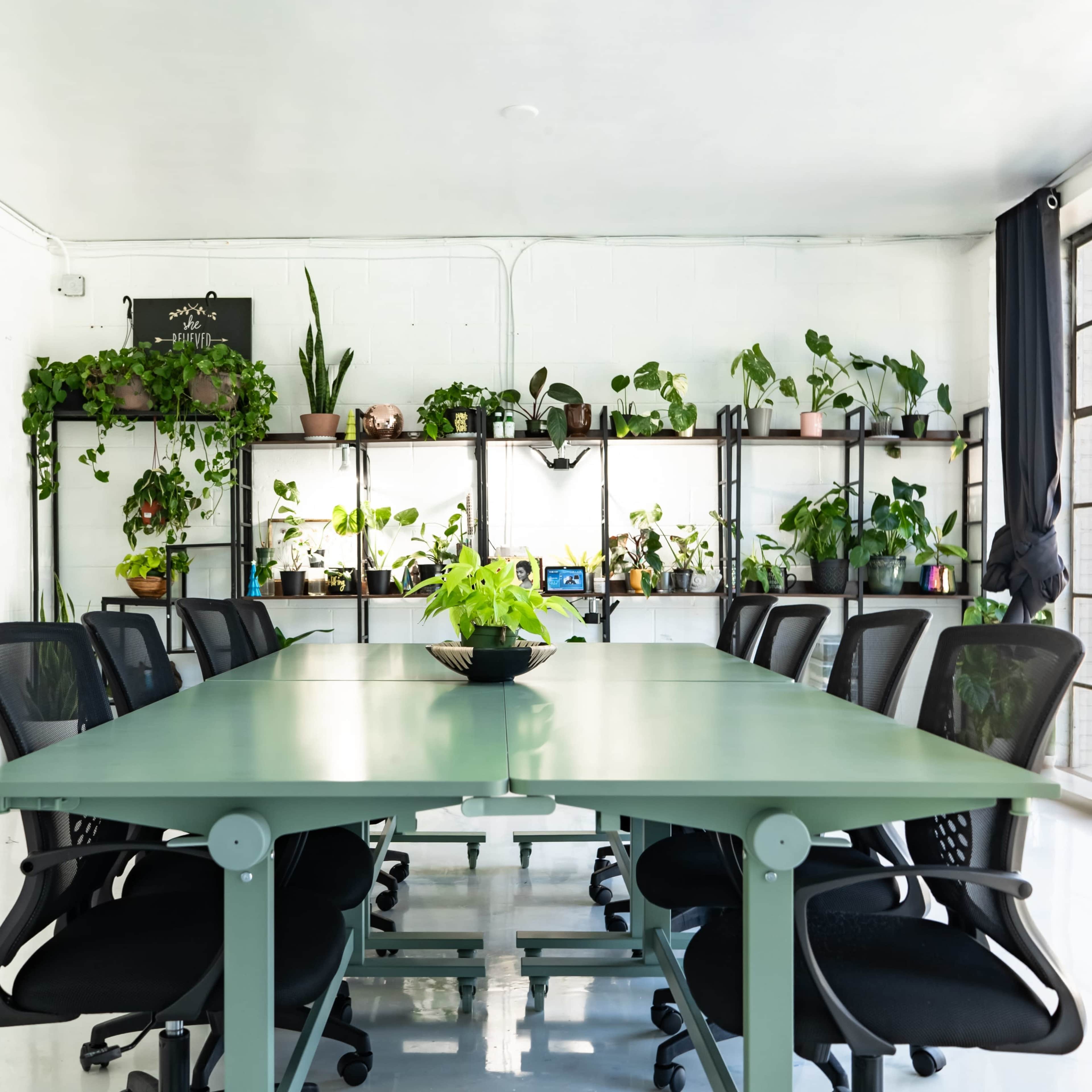 The Plant Apothecary Image in Lakewood Heights, Atlanta, GA