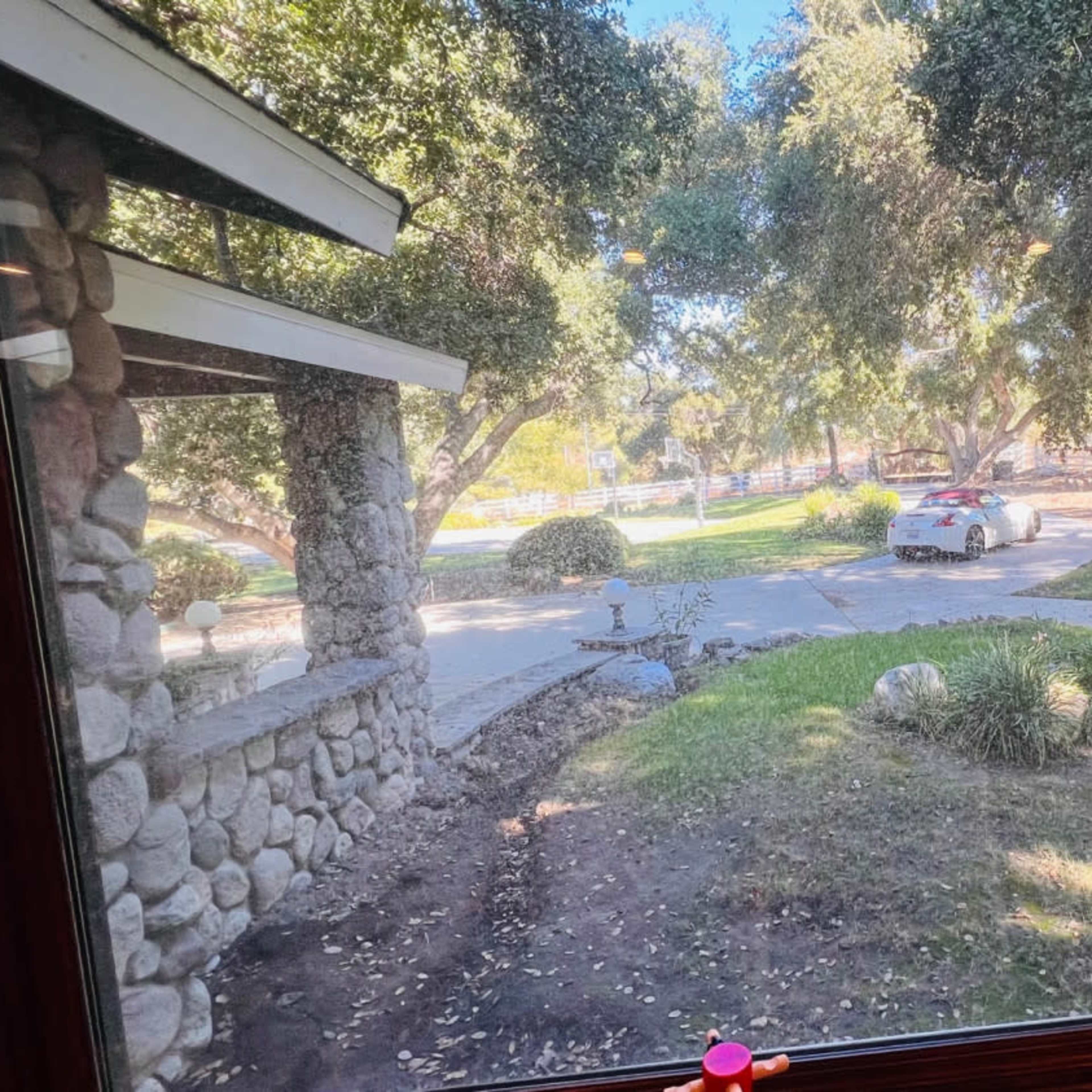 The view from the window shows a driveway lined with trees and a white car parked in a shaded area.