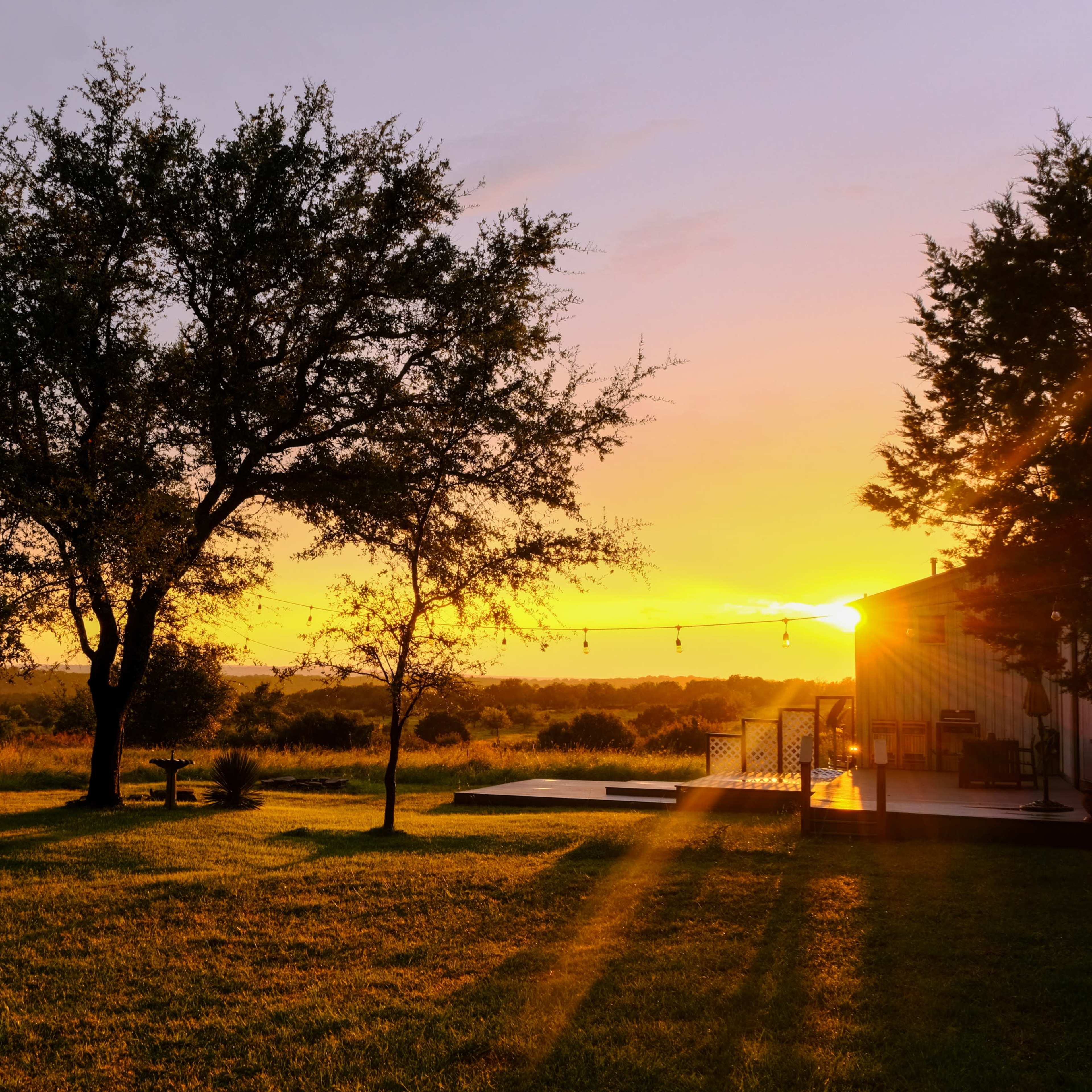 A sunset over a grassy field with silhouetted trees and a modern deck area.