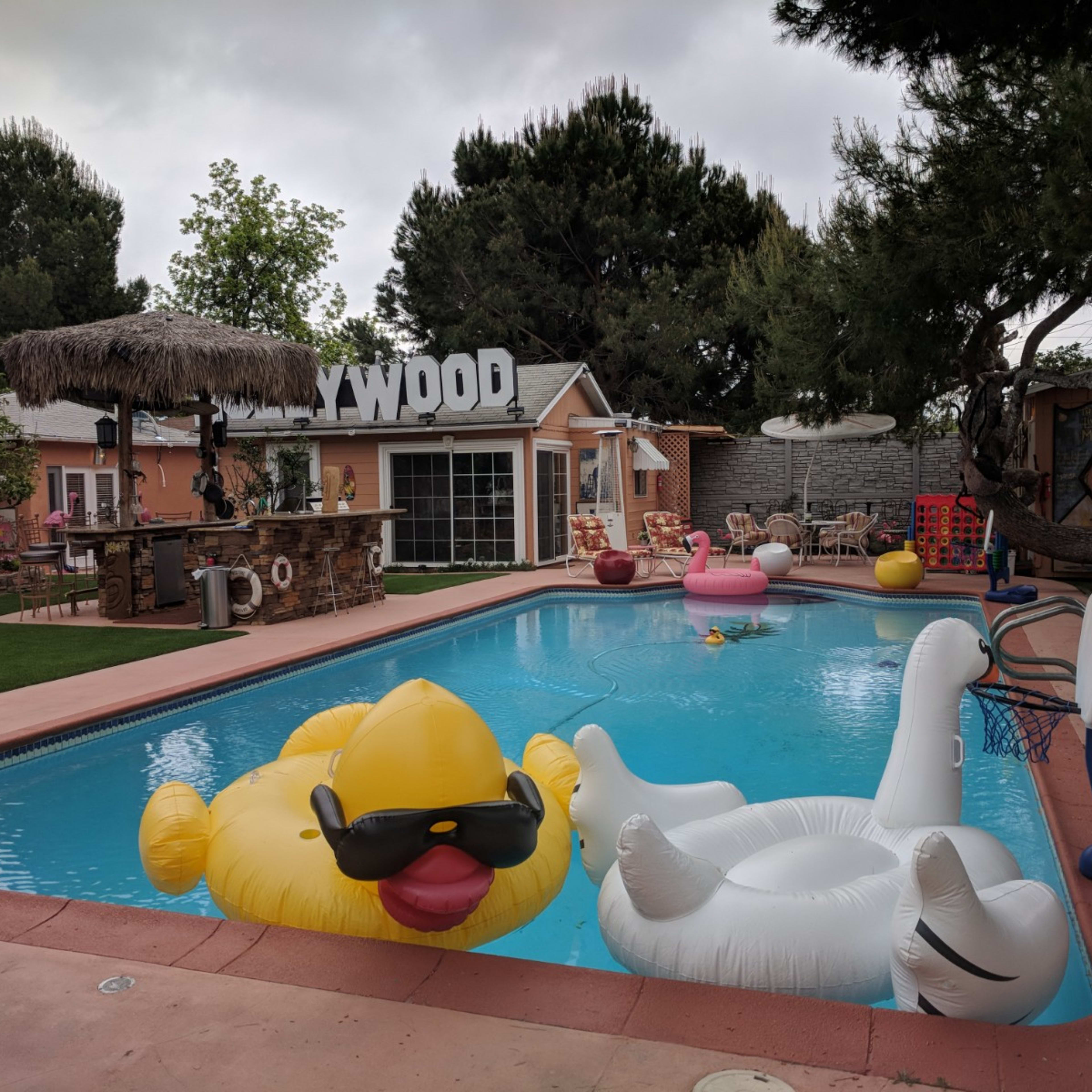 A backyard swimming pool surrounded by inflatable pool floats, including a giant rubber duck and a swan, with a Hollywood sign in the background.