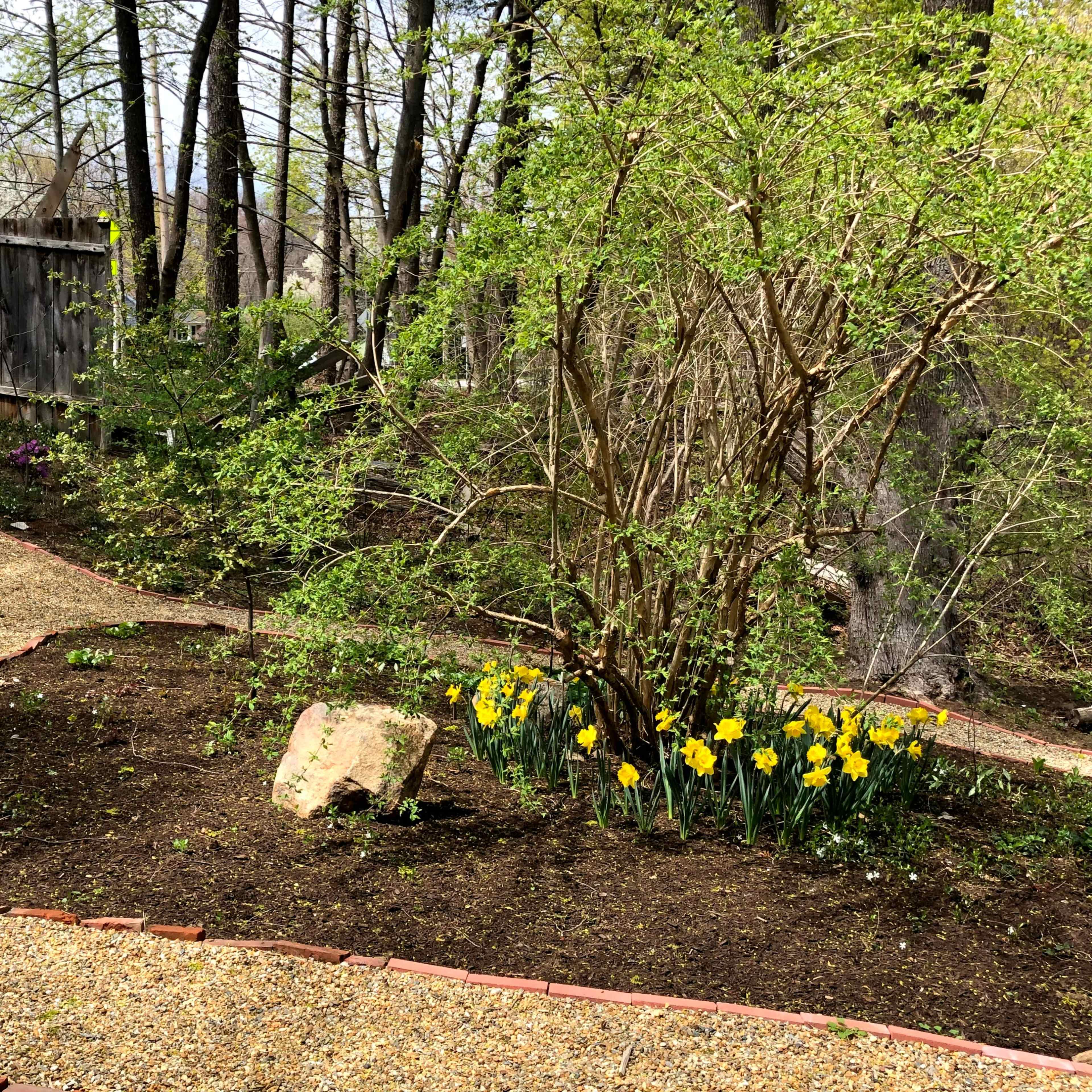 A winding gravel pathway surrounded by freshly planted flowers and a small bush leads through a wooded area.