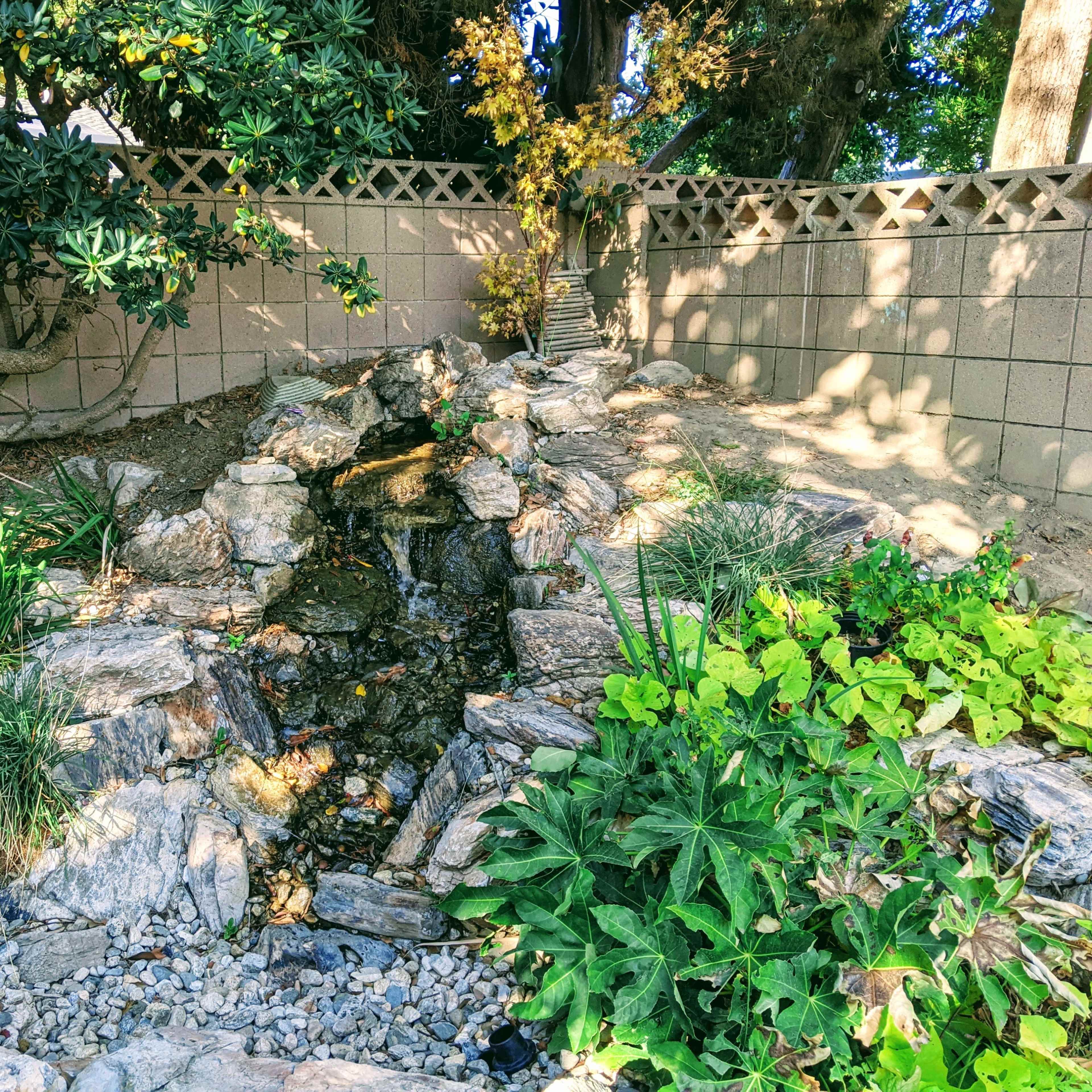 A small water feature with rocks and greenery is nestled against a wall in a fenced outdoor garden area.
