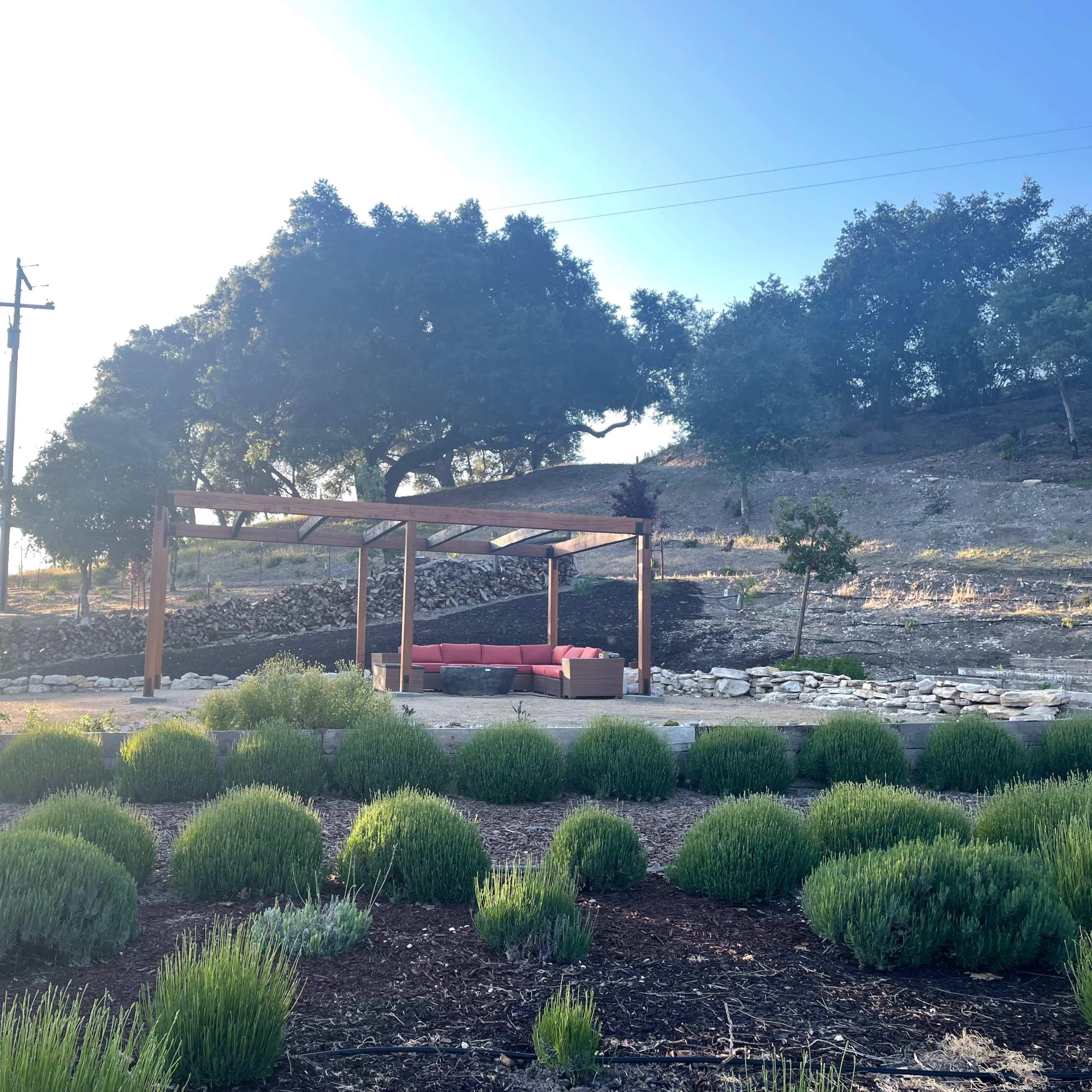 A wooden pergola with a red couch is set among low shrubs in a landscaped area under a bright sky.
