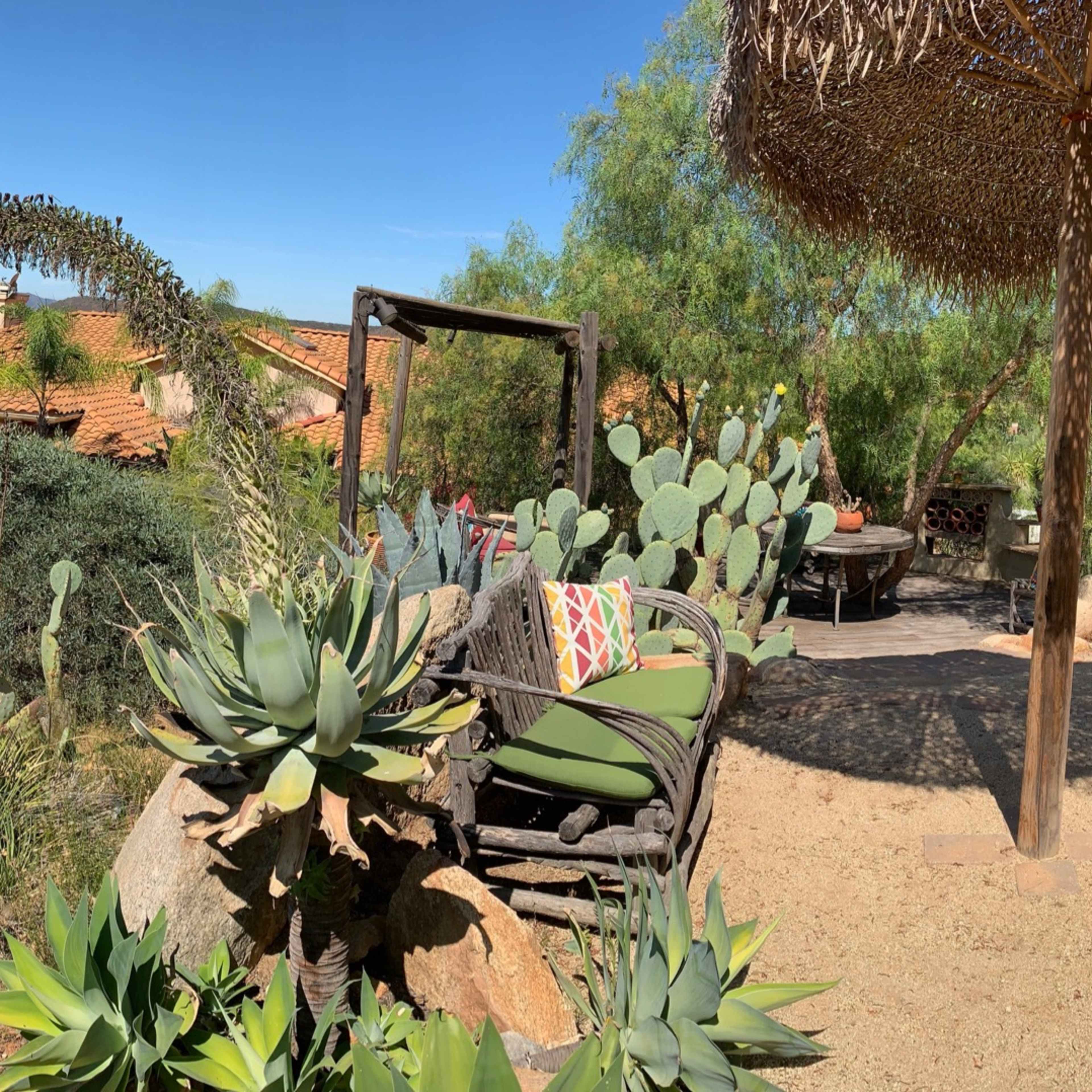 A landscaped outdoor area featuring a pool surrounded by various plants, rock formations, and seating arrangements under a clear blue sky.