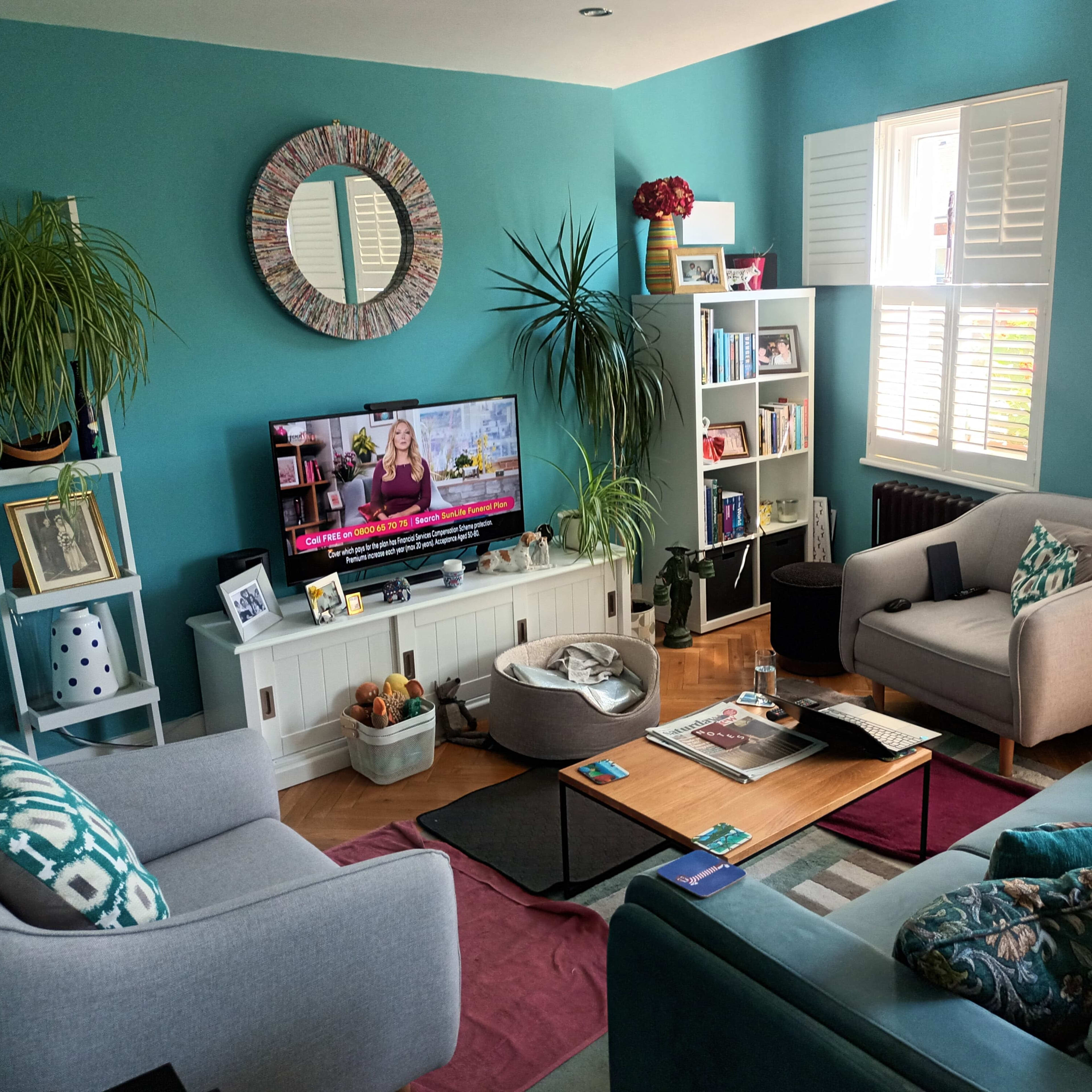 A cozy living room with teal walls, a television displaying a program, two gray sofas, a coffee table, and a bookshelf filled with books and decorative items.