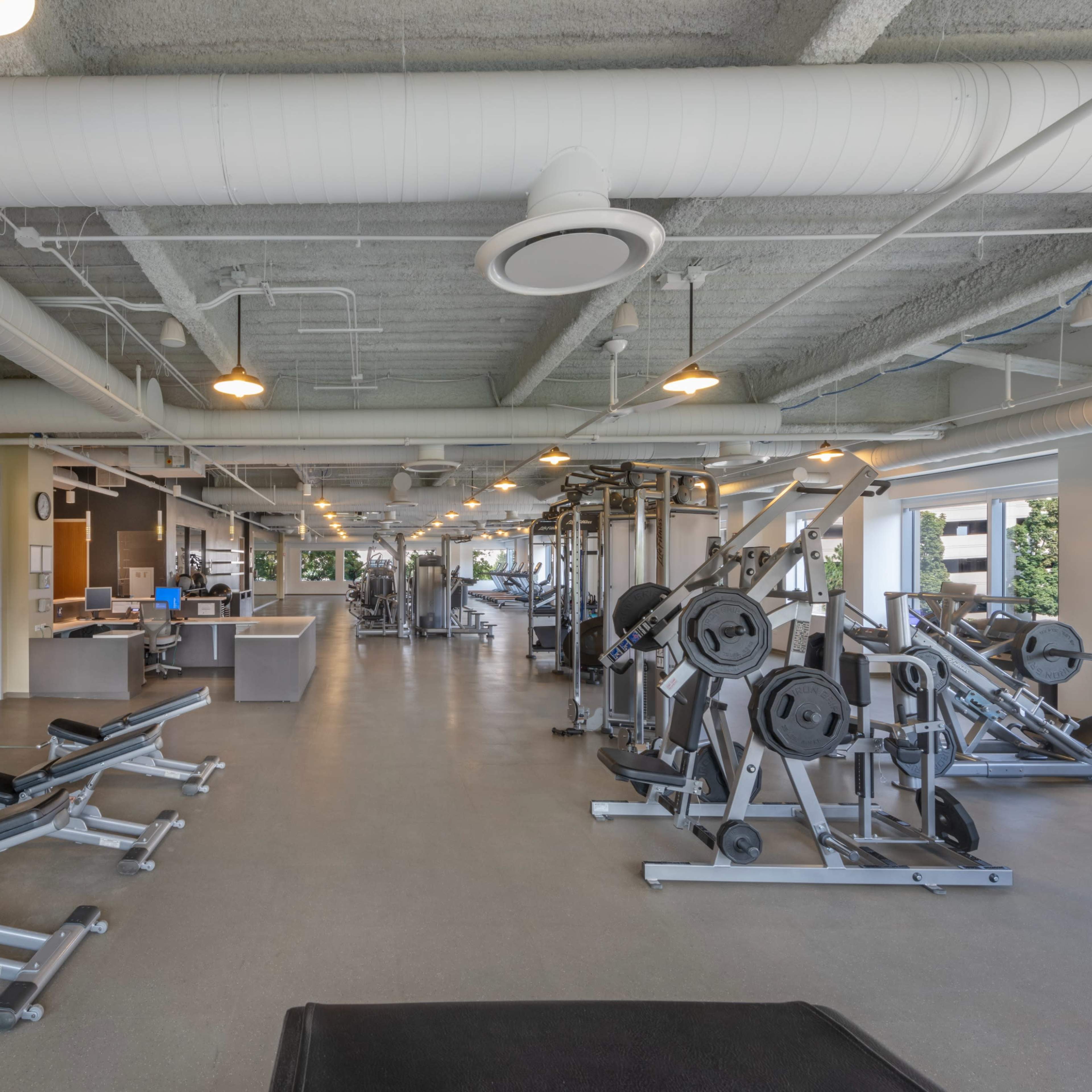 A spacious gym interior equipped with weightlifting machines, free weights, and large windows allowing natural light to enter.