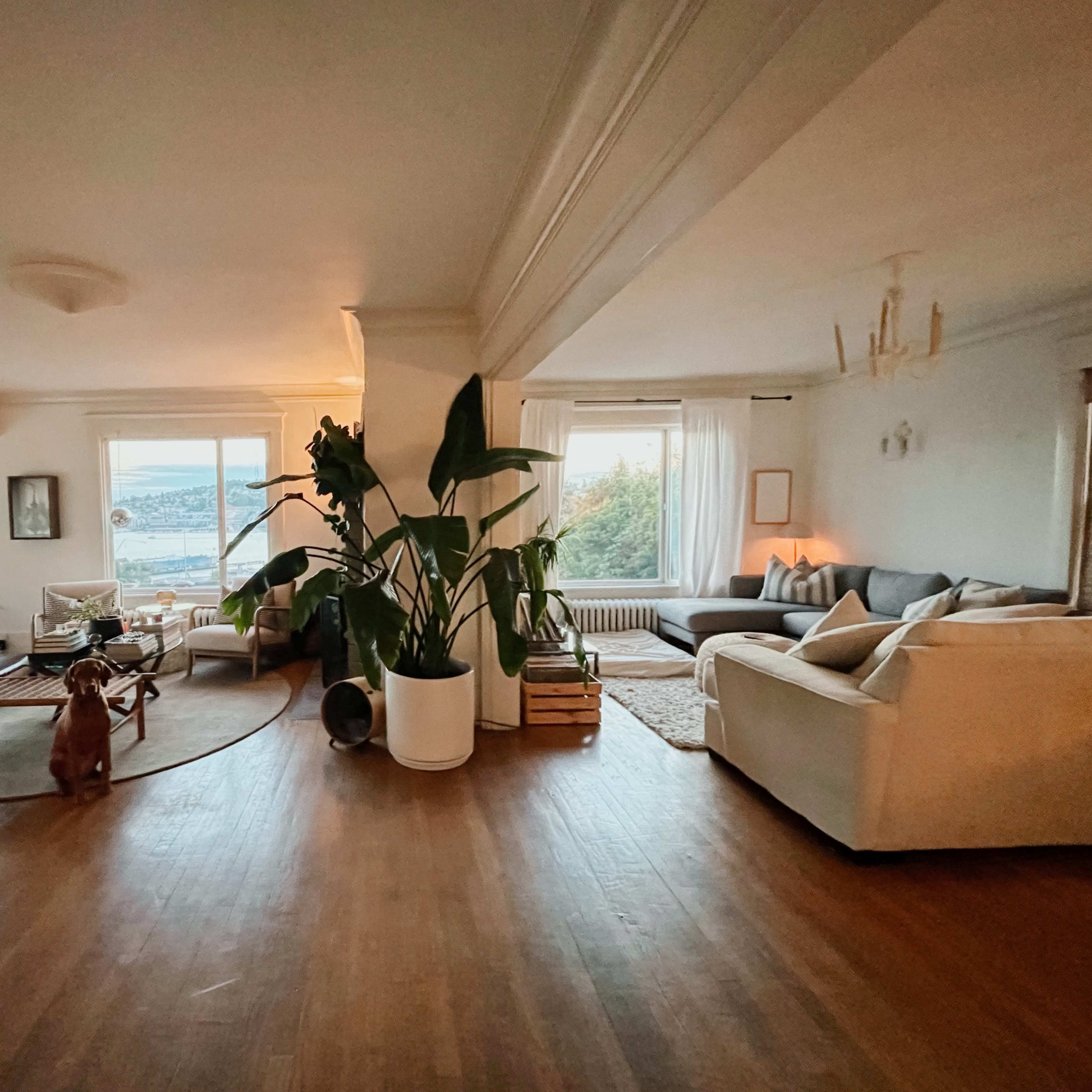 The spacious living area features a sectional sofa, large windows with a view, a round coffee table, and a dog in the foreground.