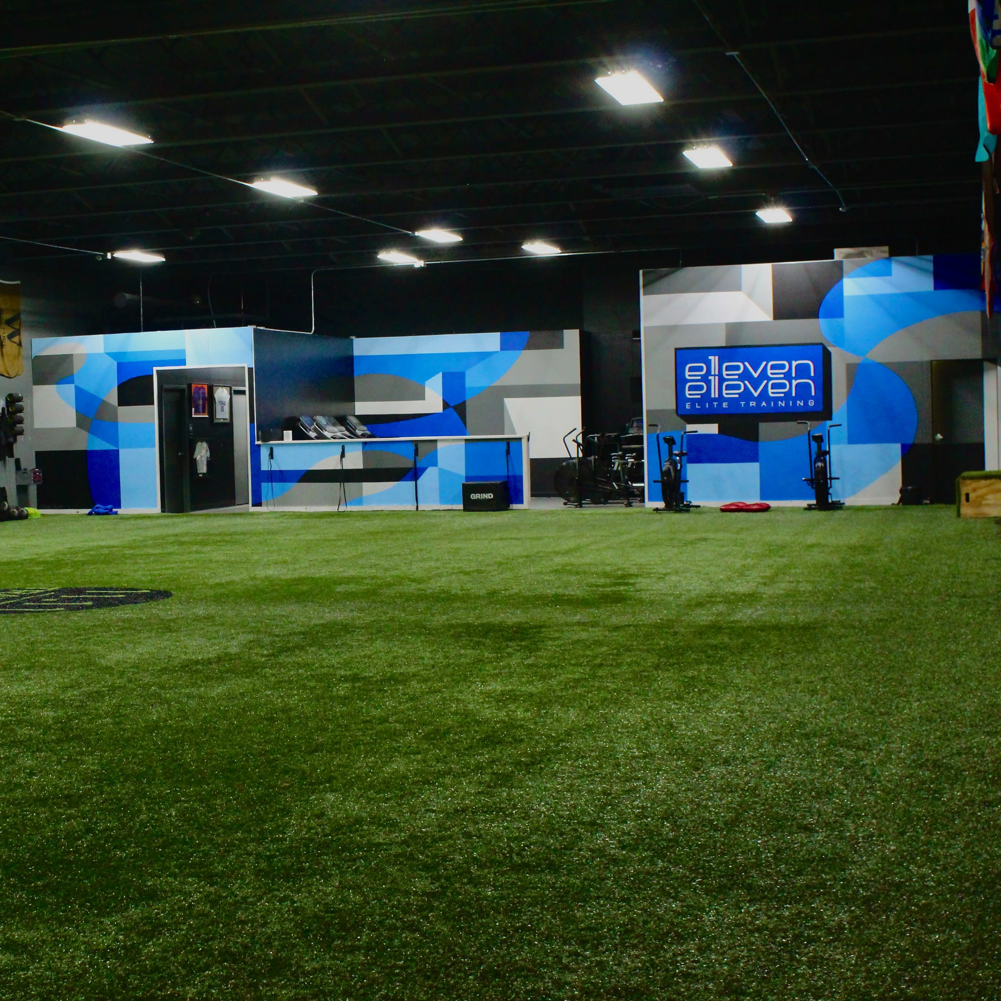 A spacious indoor training facility with artificial turf, exercise equipment, and colorful wall graphics.