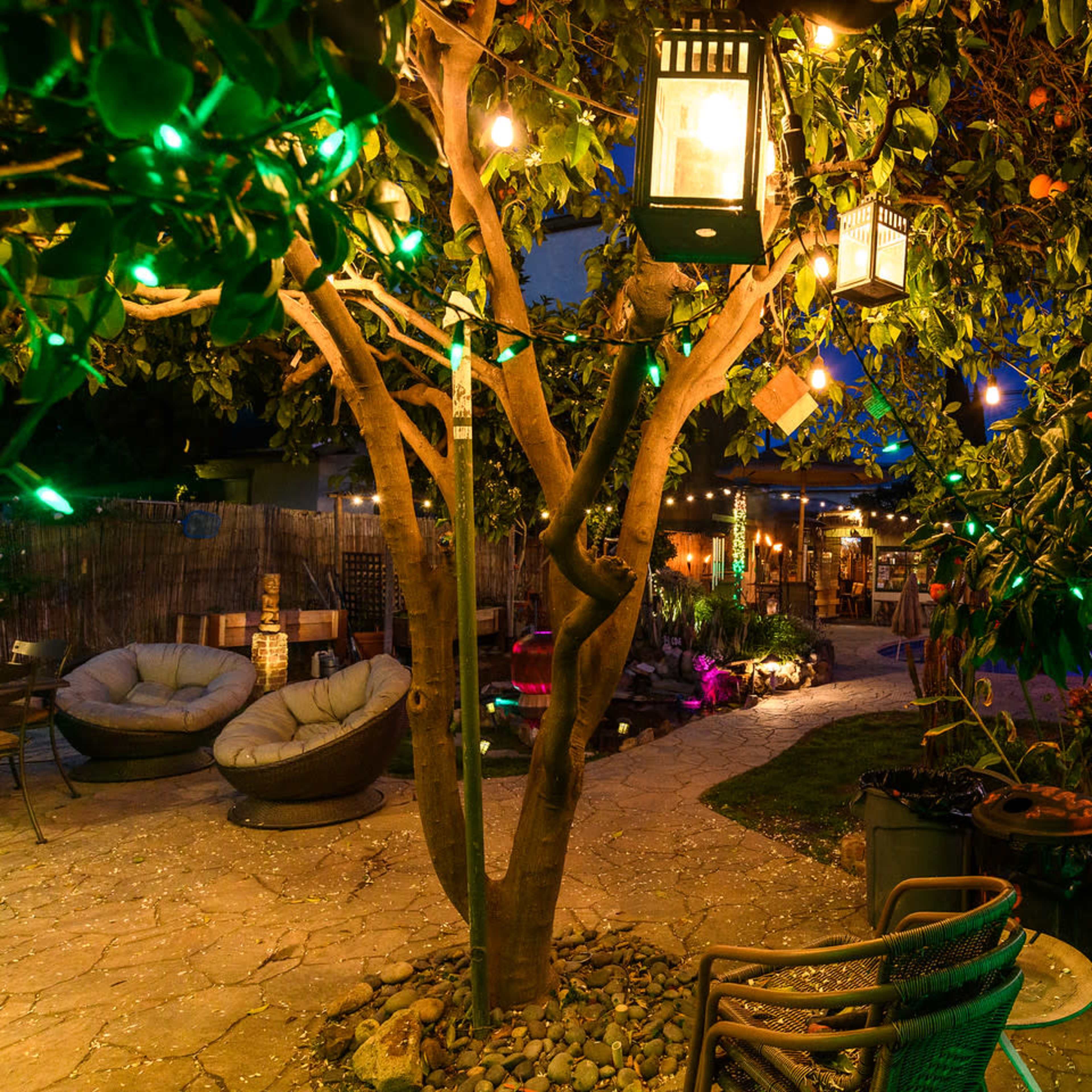 The scene features a backyard with a tree adorned with lanterns and colorful lights, surrounded by comfortable seating and garden elements.