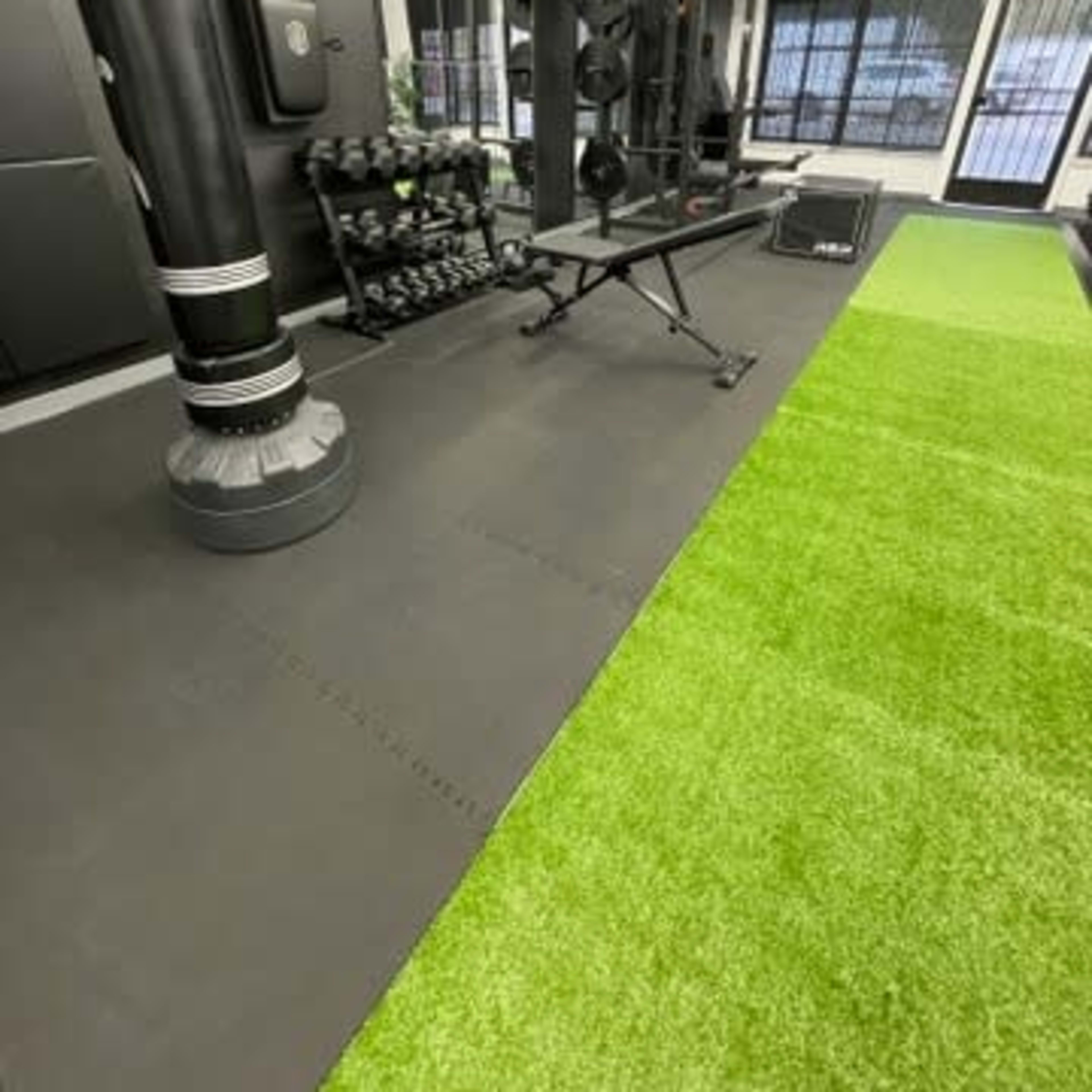 A gym interior featuring a punching bag, a weight bench, dumbbells, and artificial turf flooring.