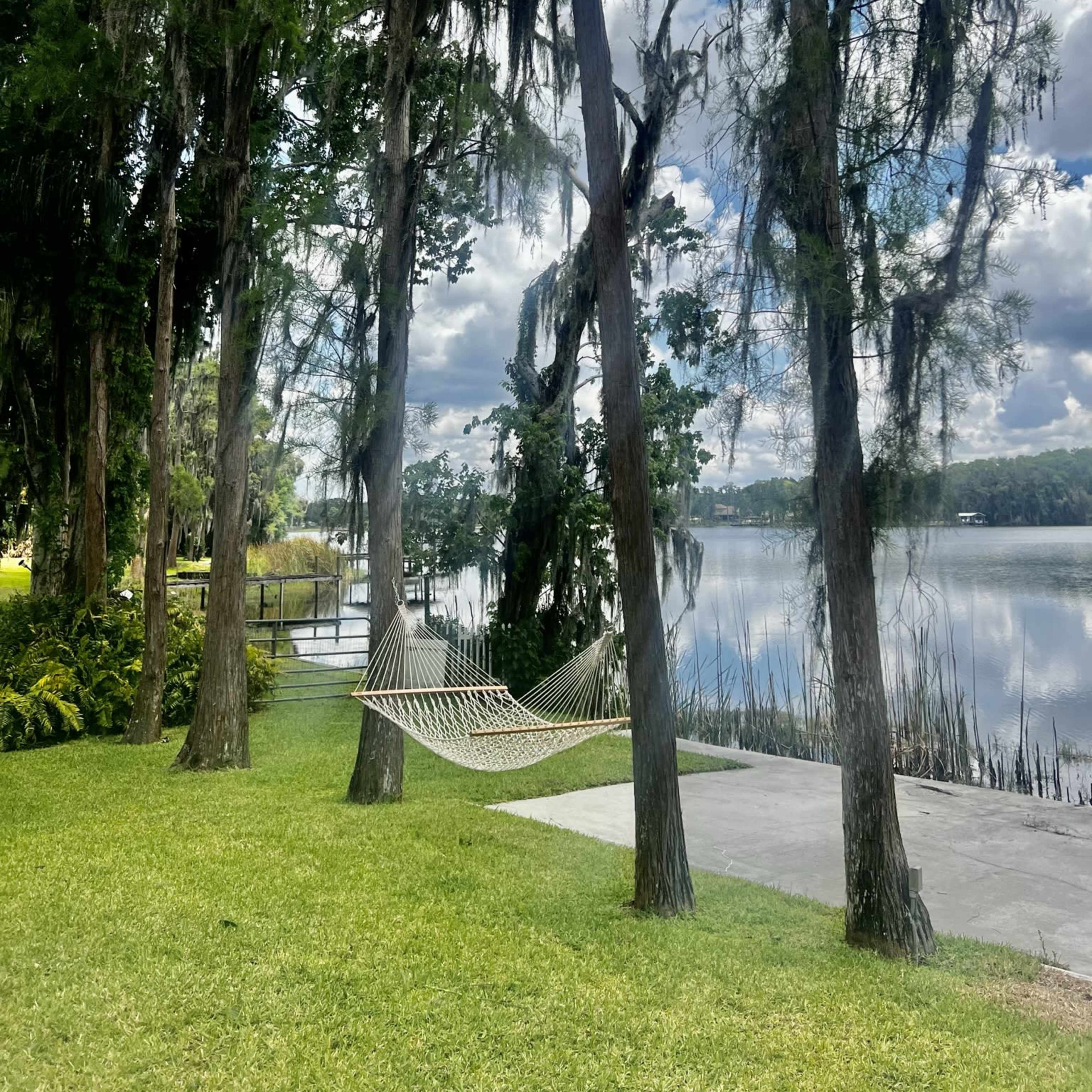 A hammock is suspended between two trees near a calm lake surrounded by greenery.