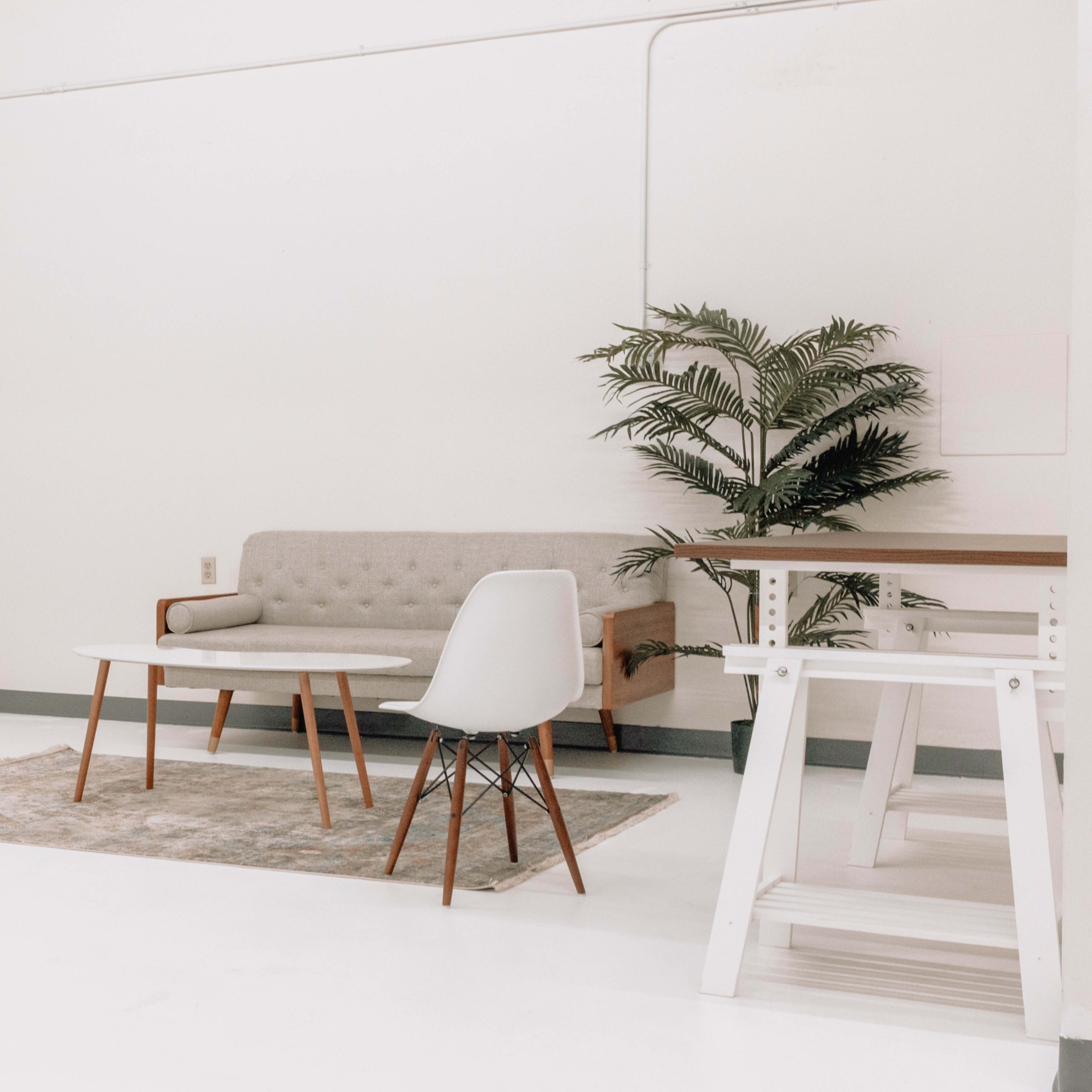 A minimalistic room with a gray sofa, two white chairs, a small wooden table, a rug, and a potted plant.