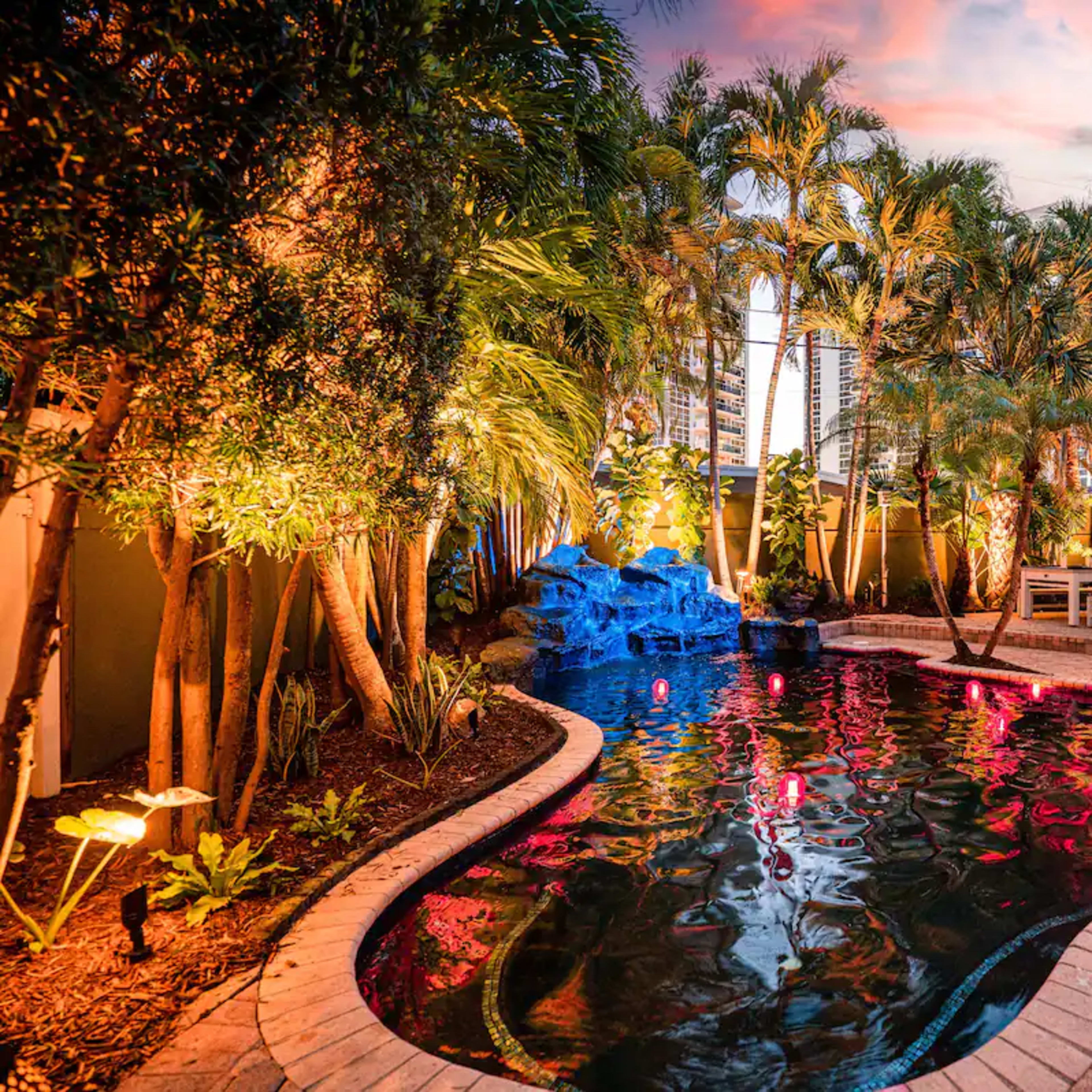 A backyard pool area surrounded by tropical plants and illuminated by colorful lights at dusk.