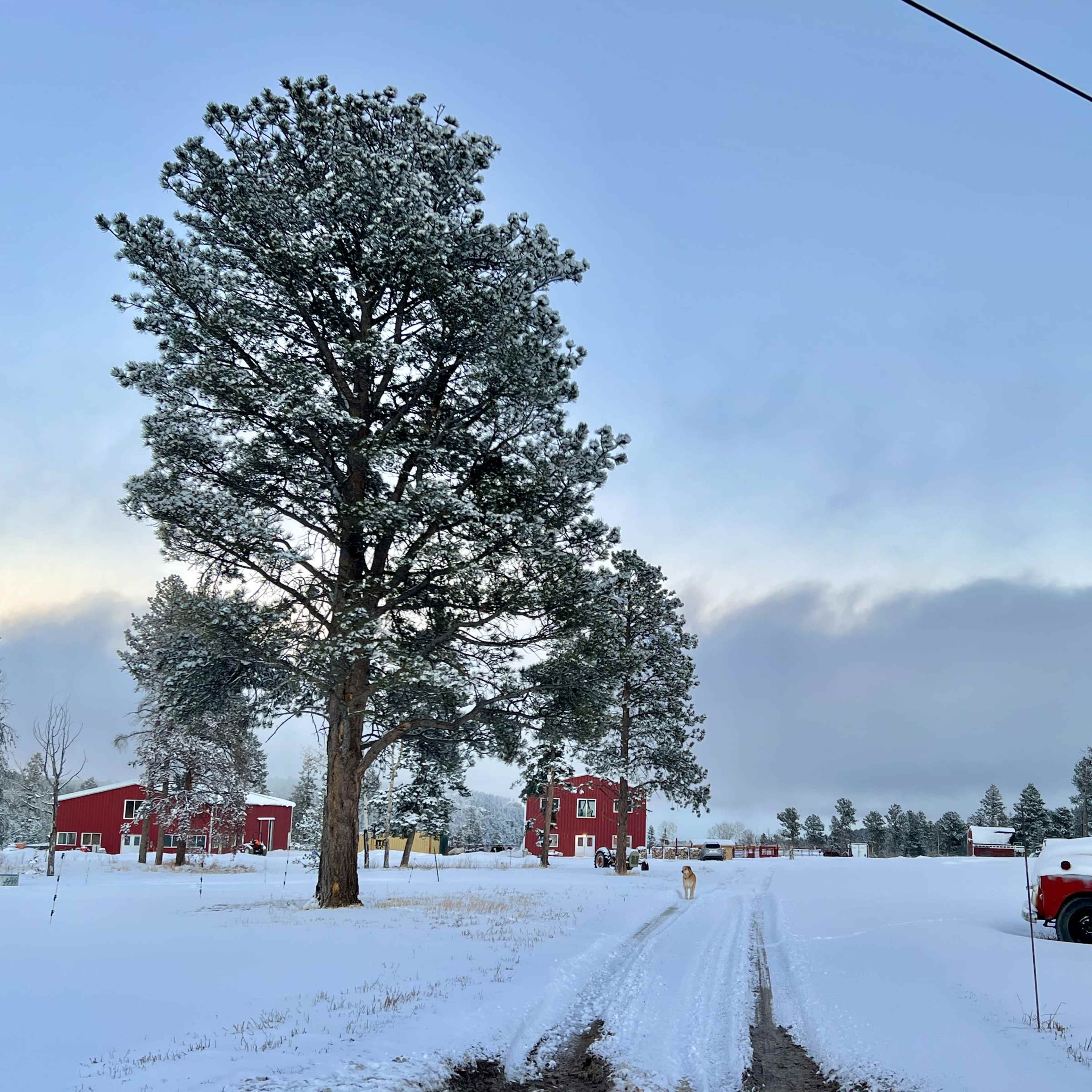 Mountain Farm, Barns, and Scenic Vistas Image in Jefferson County, Jefferson County, CO