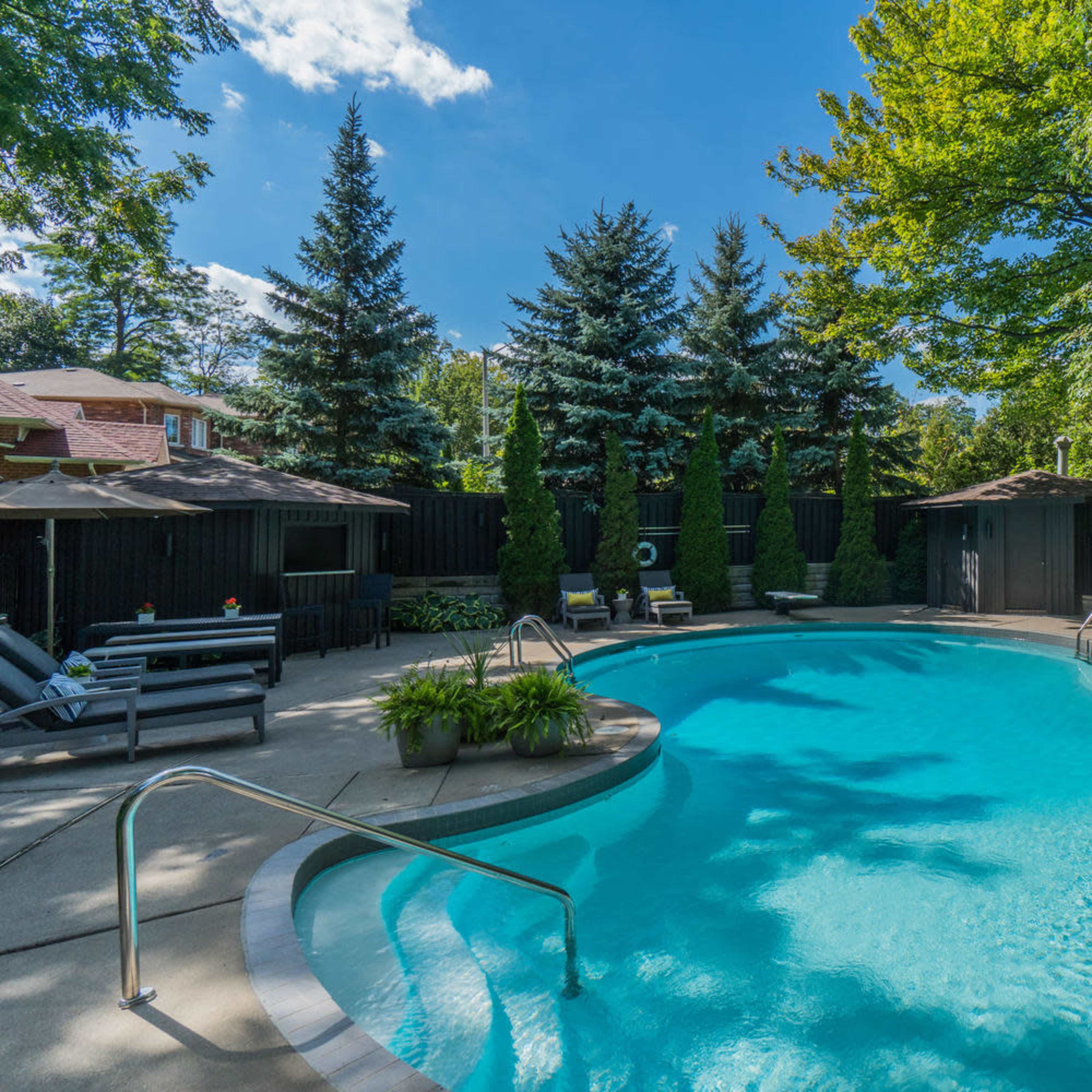 A curved swimming pool surrounded by lush greenery and deck chairs under a clear blue sky.