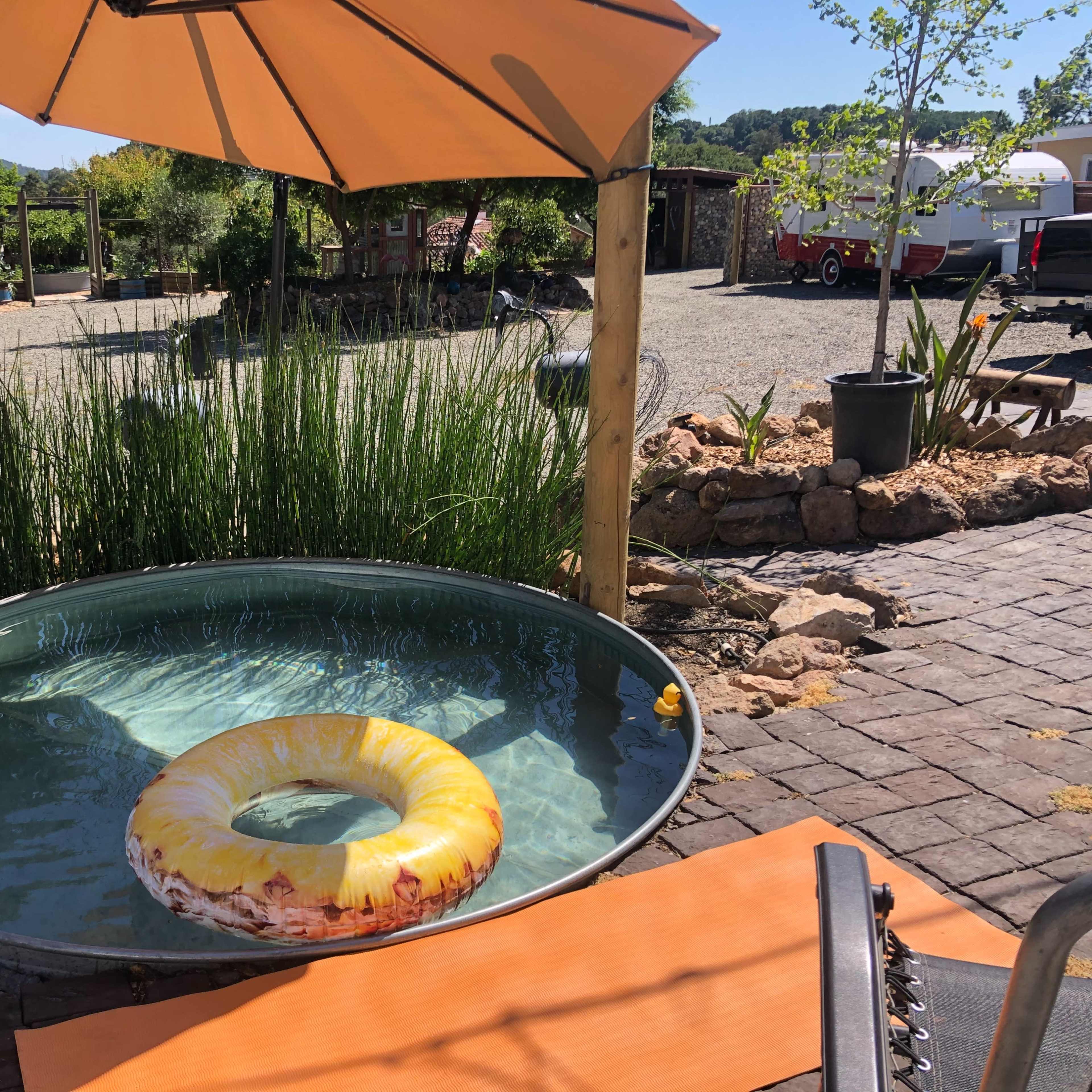 A circular tub filled with water sits in an outdoor area, surrounded by plants and a patio with stone and gravel paths.