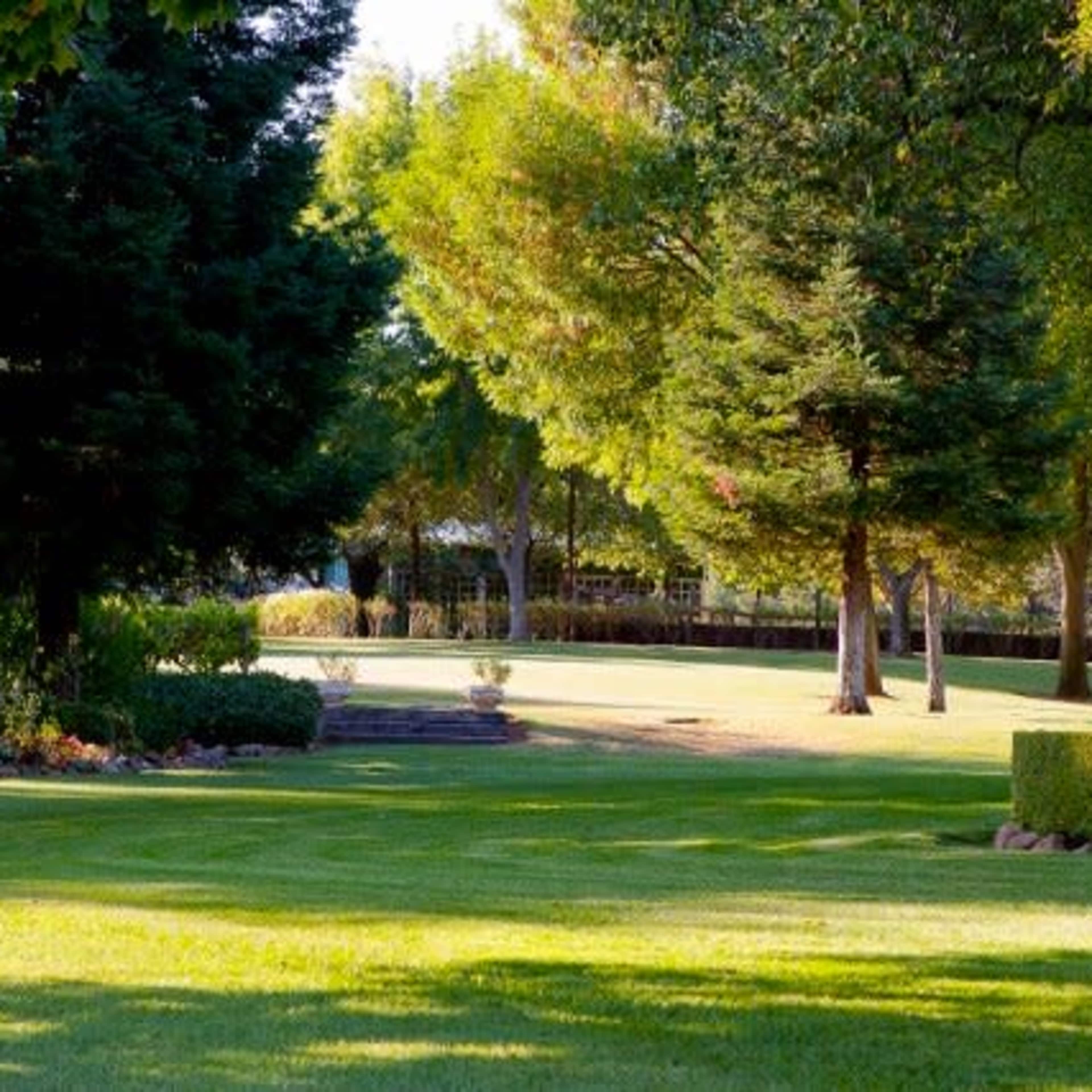 A lush green lawn is bordered by trees and neatly trimmed shrubs in a well-maintained outdoor garden.