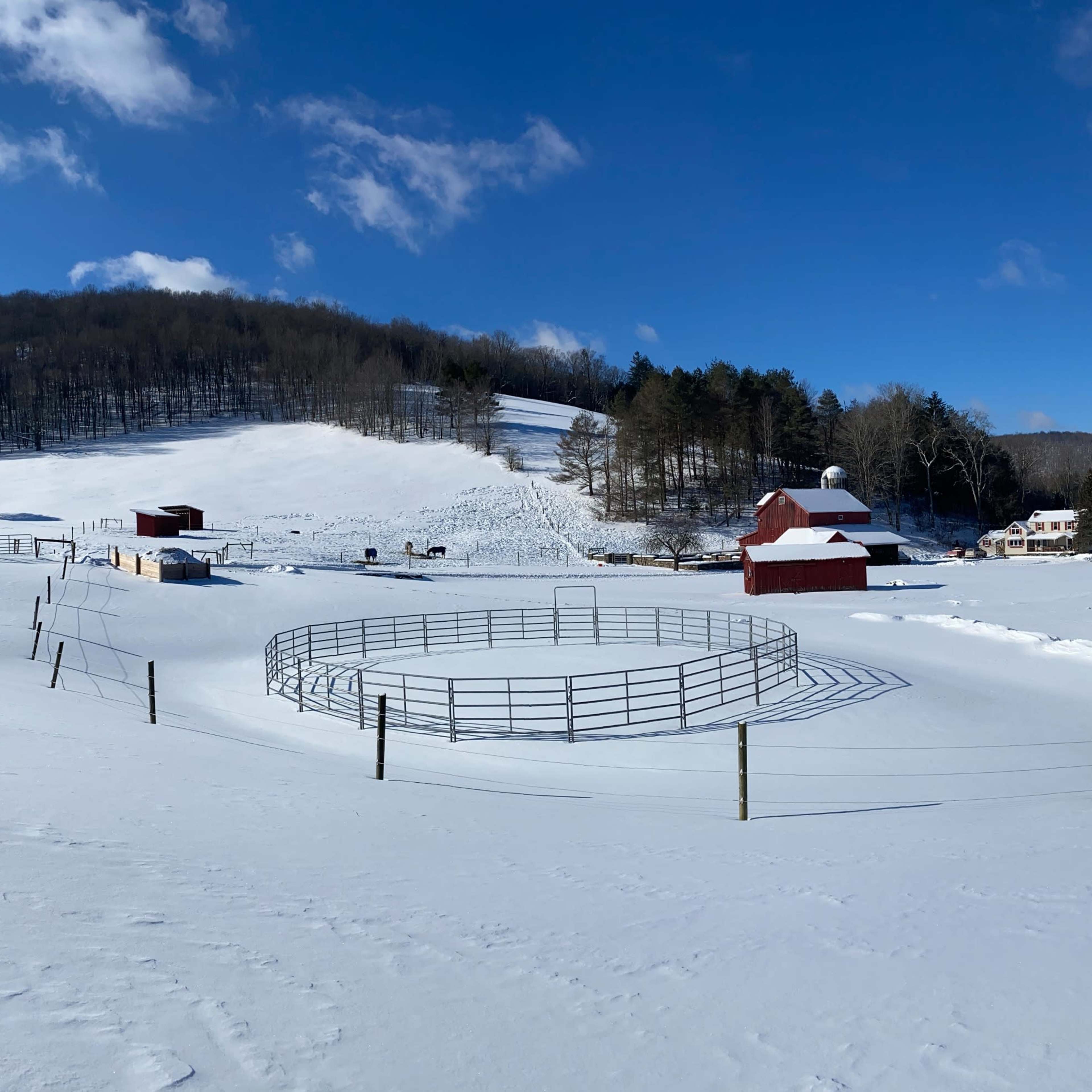 A panoramic view of a snow-covered farm featuring several red barns and fenced areas under a clear blue sky.